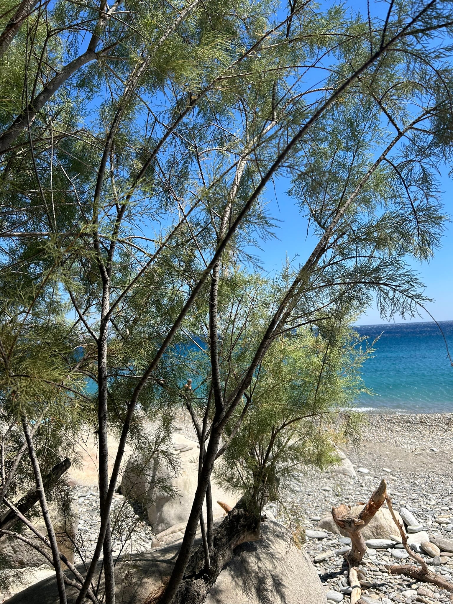 7 zile în Ikaria, cea mai longevivă insulă din Grecia