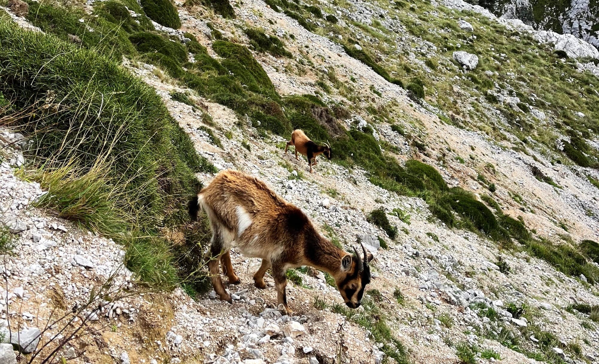 Picos de Europa: Cele mai spectaculoase trasee montane din nordul Spaniei