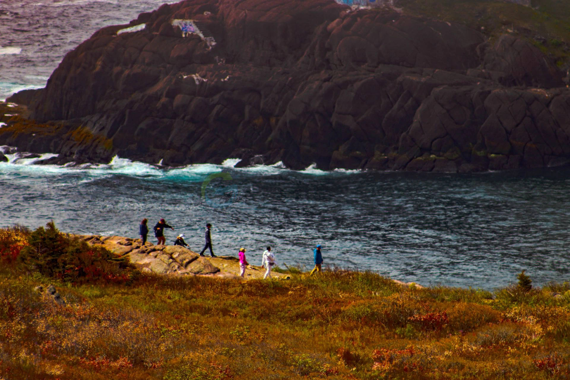 signal hill view