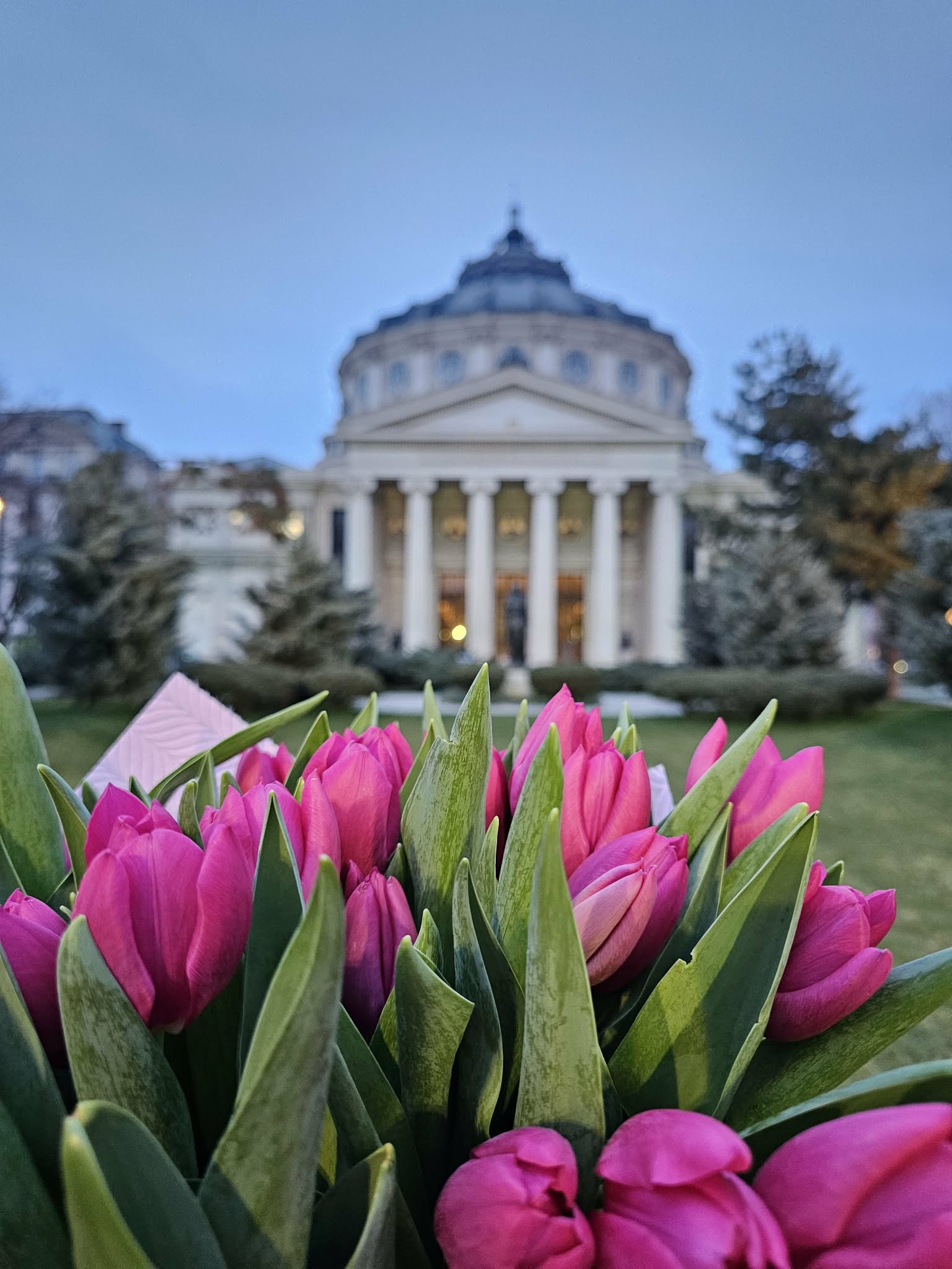 Cele mai instagramabile cafenele din București