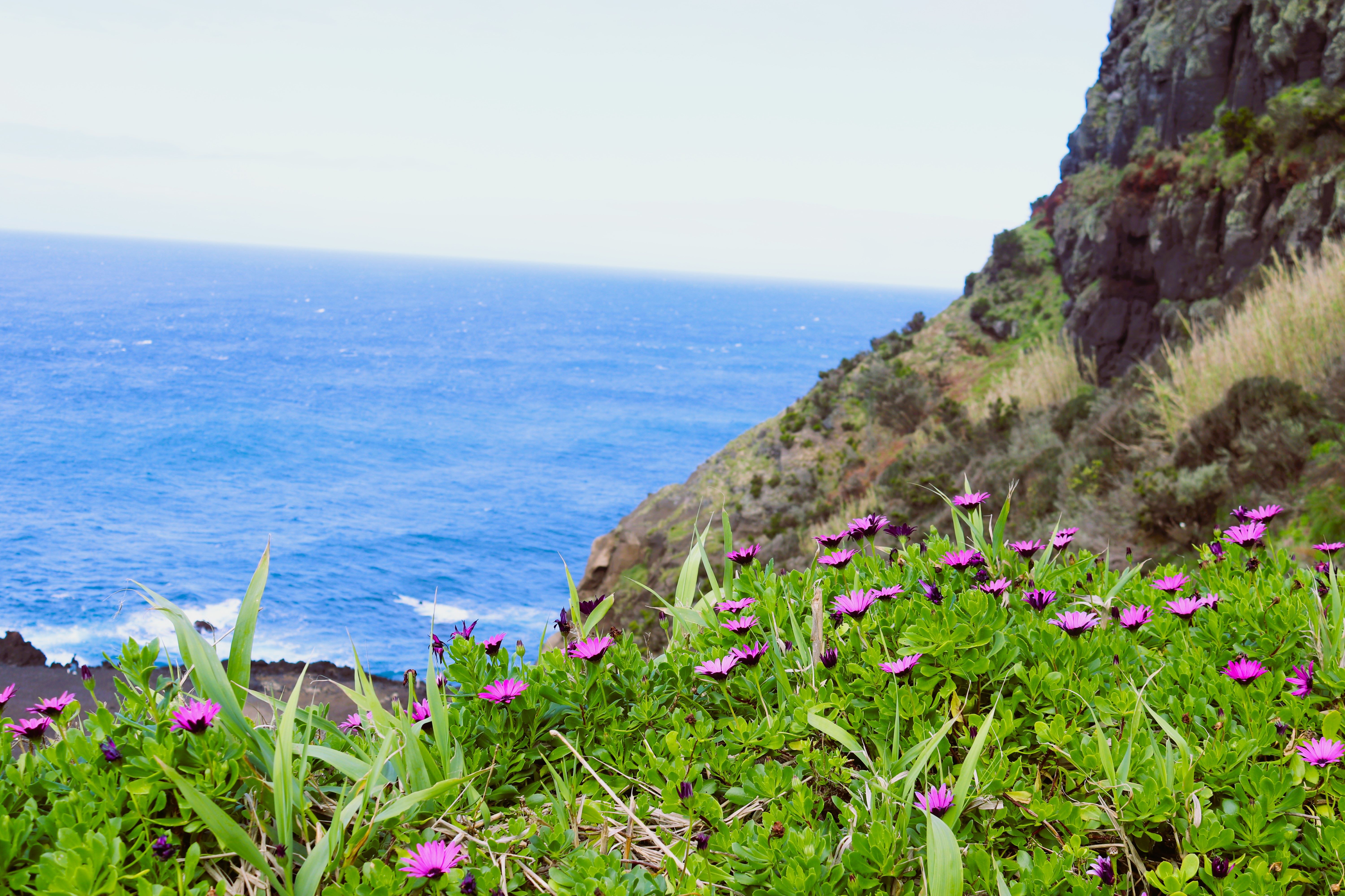 Insulele Azore - un colț de rai în mijlocul Atlanticului