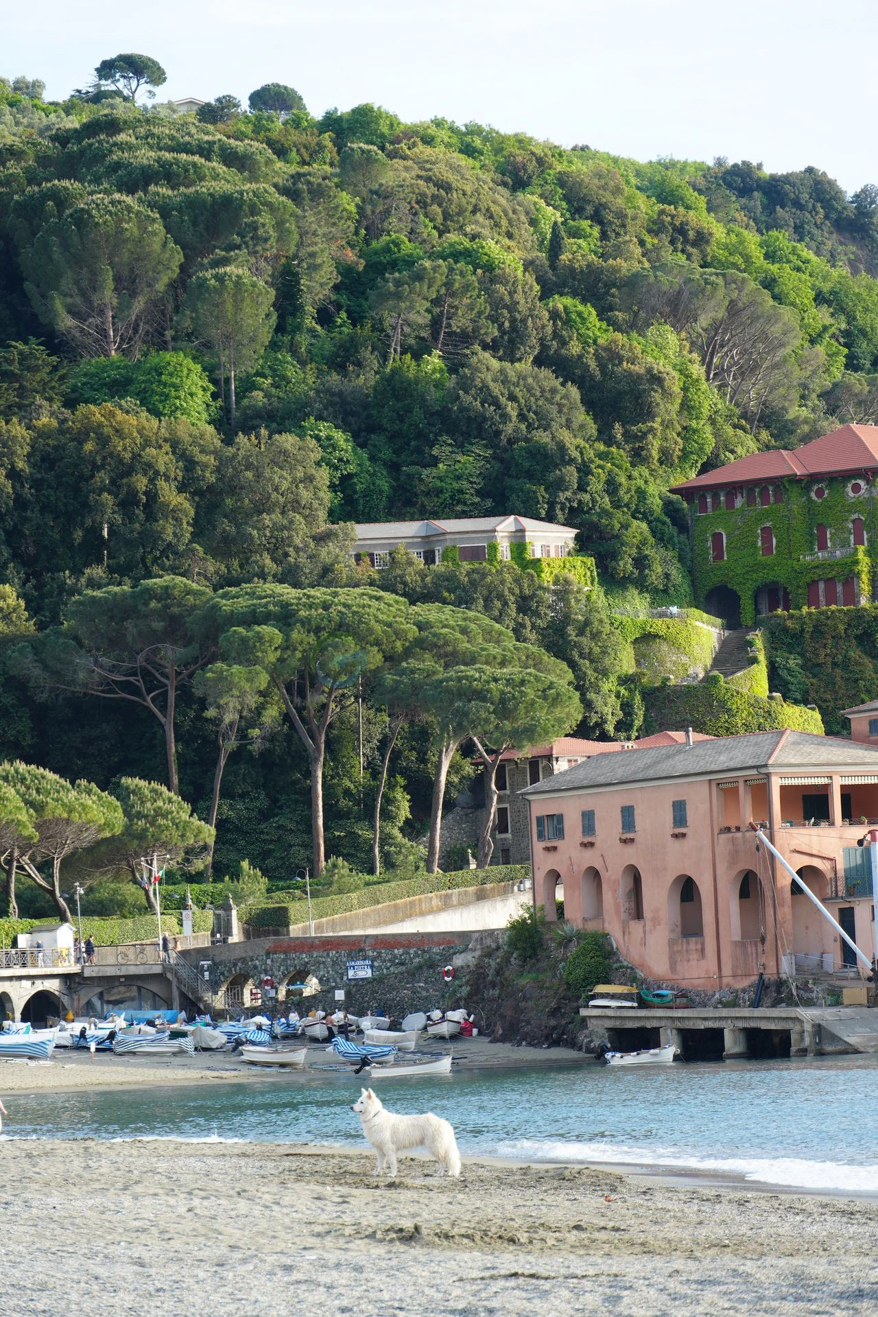 Levanto