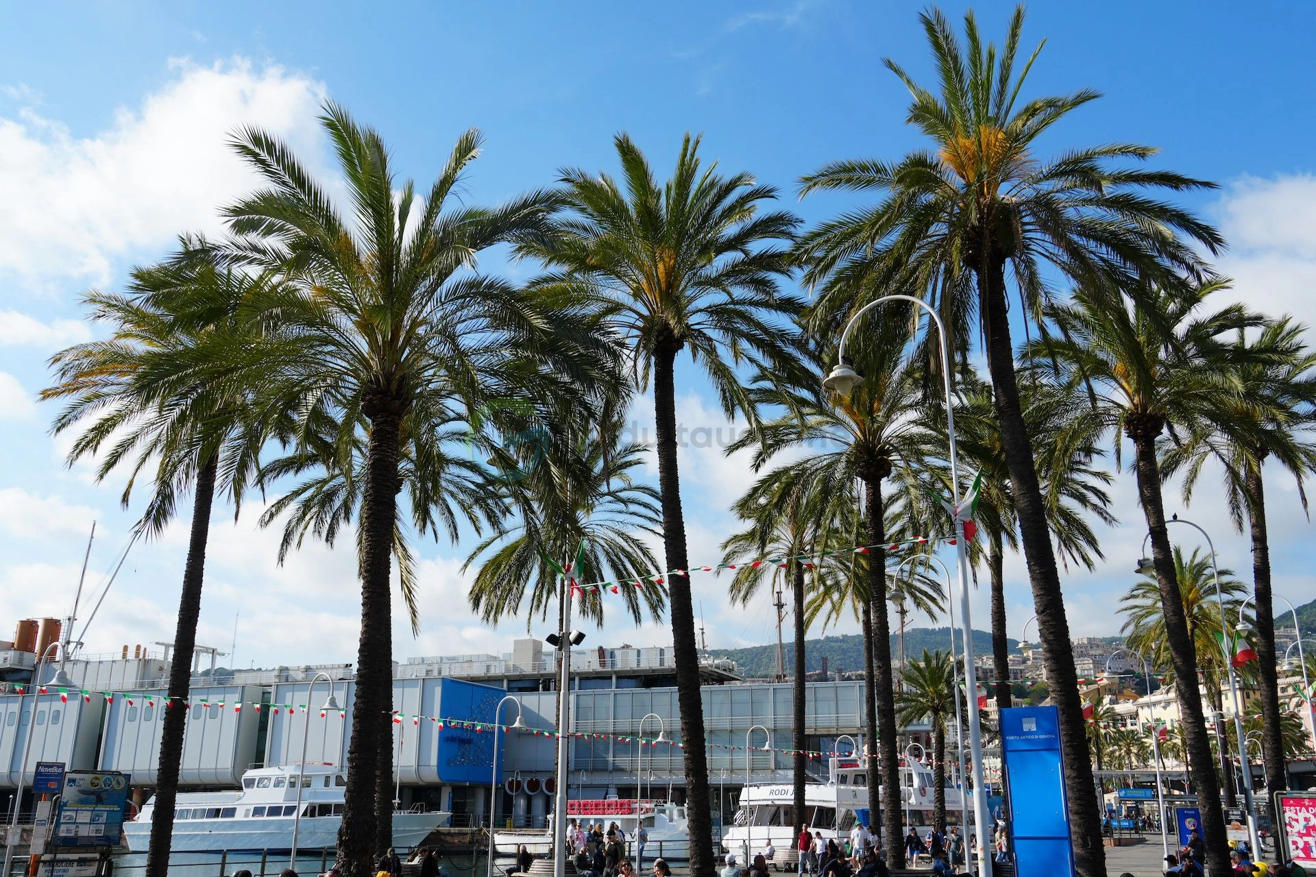 Genova Port