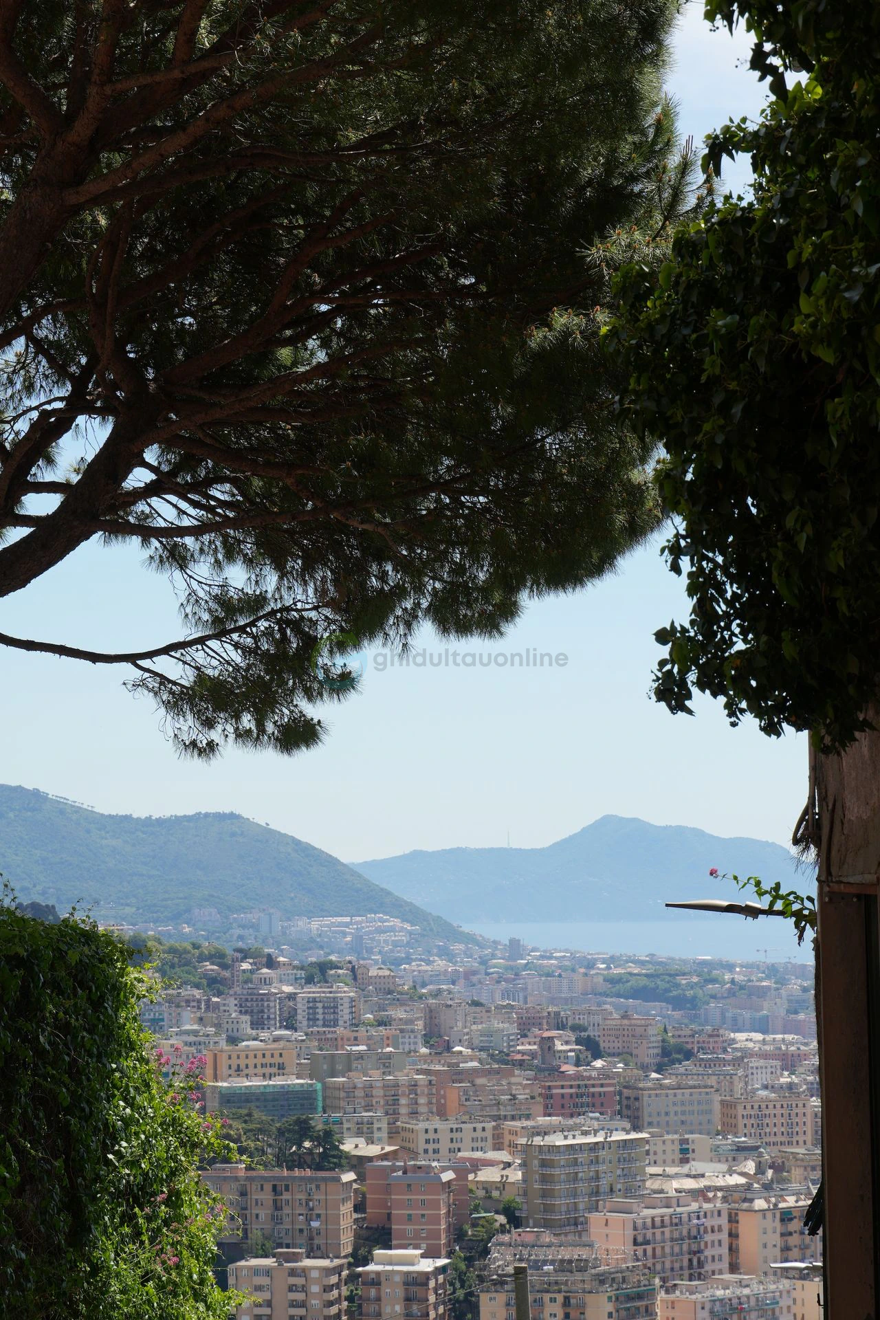 Genova