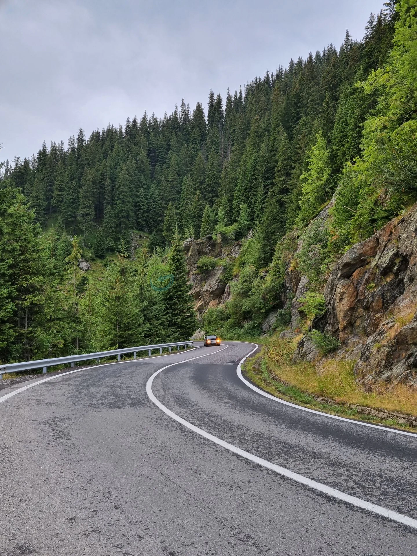 Transalpina