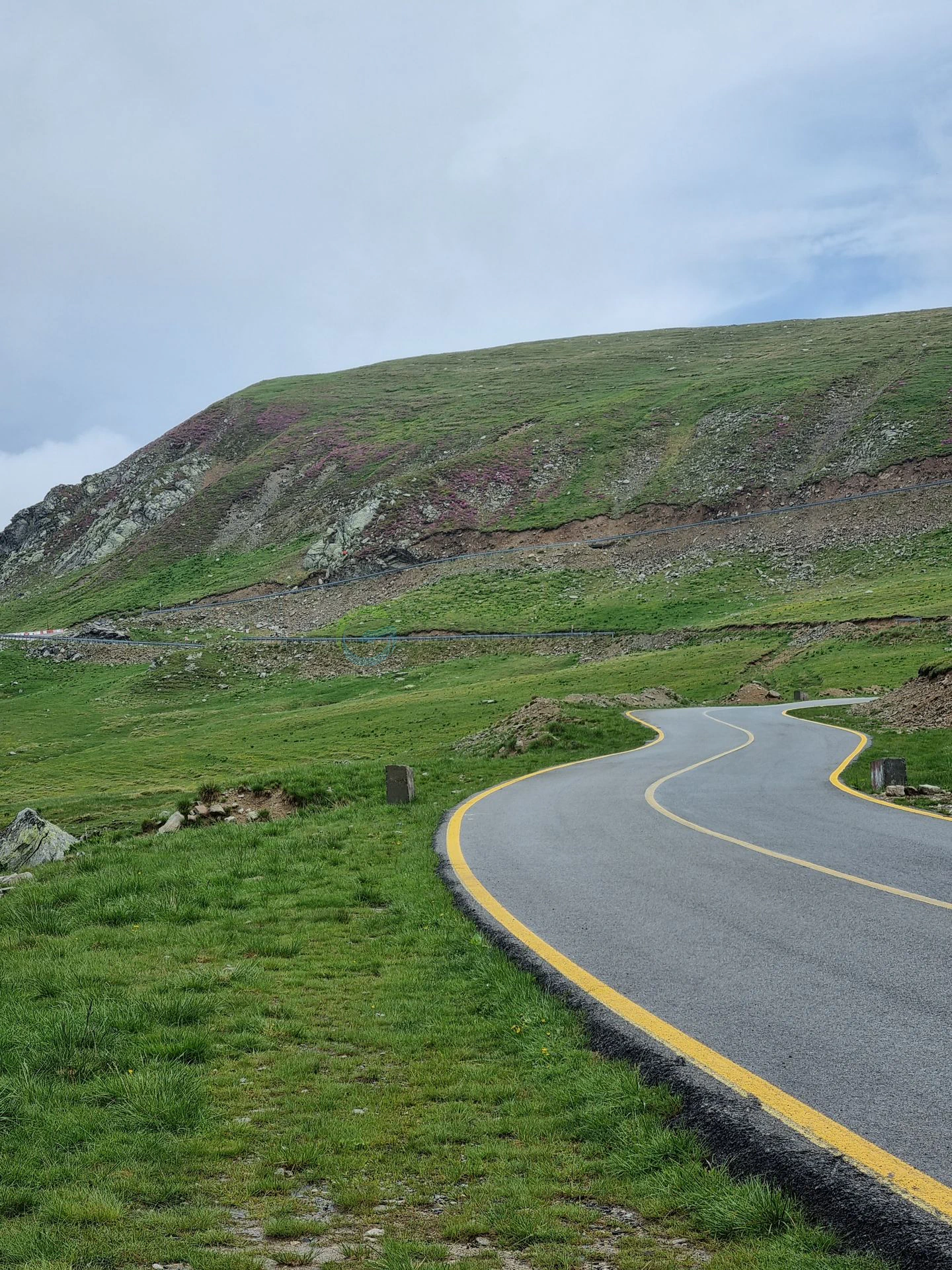 Transalpina