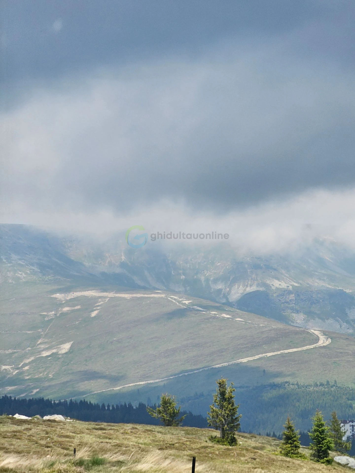 Transalpina