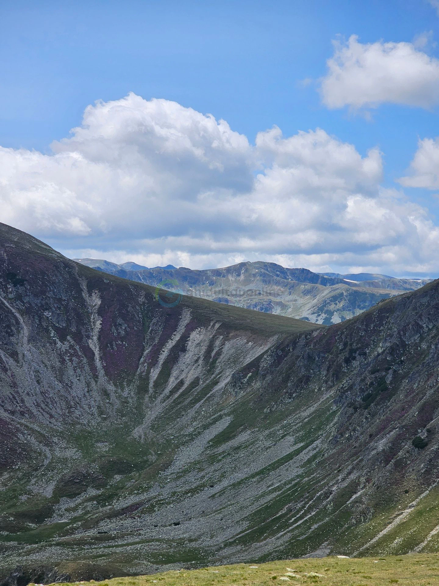 Transalpina