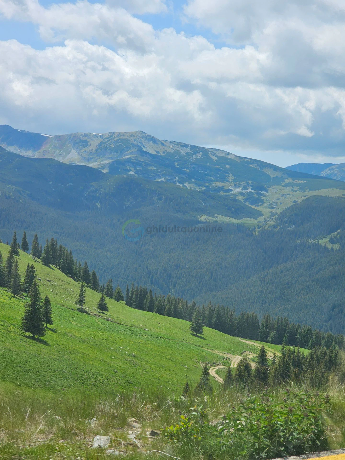 Transalpina