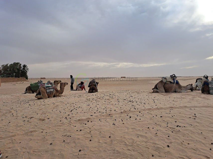 Am revăzut Tunisia după 18 ani: Ce s-a schimbat și ce trebuie să știi