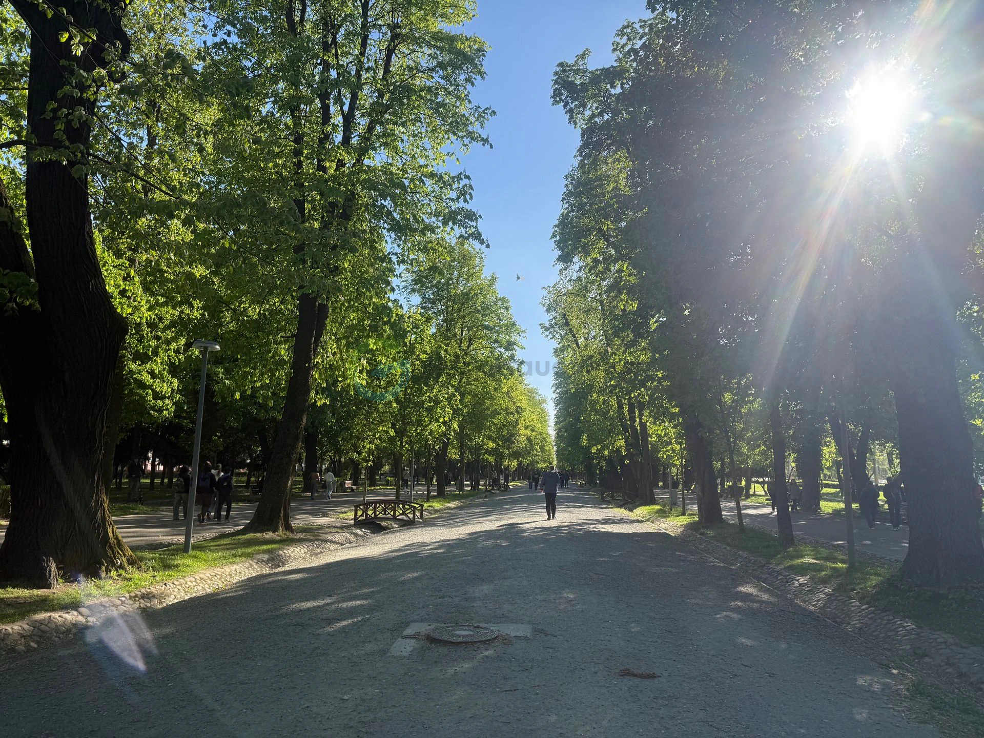 Parcul Central Cluj-Napoca