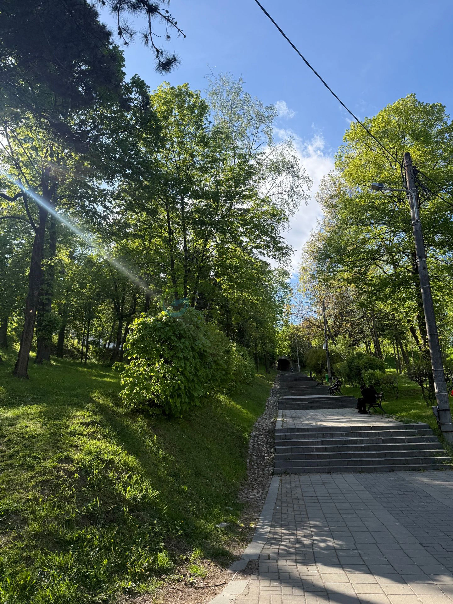 Parcul Cetatuia Cluj-Napoca
