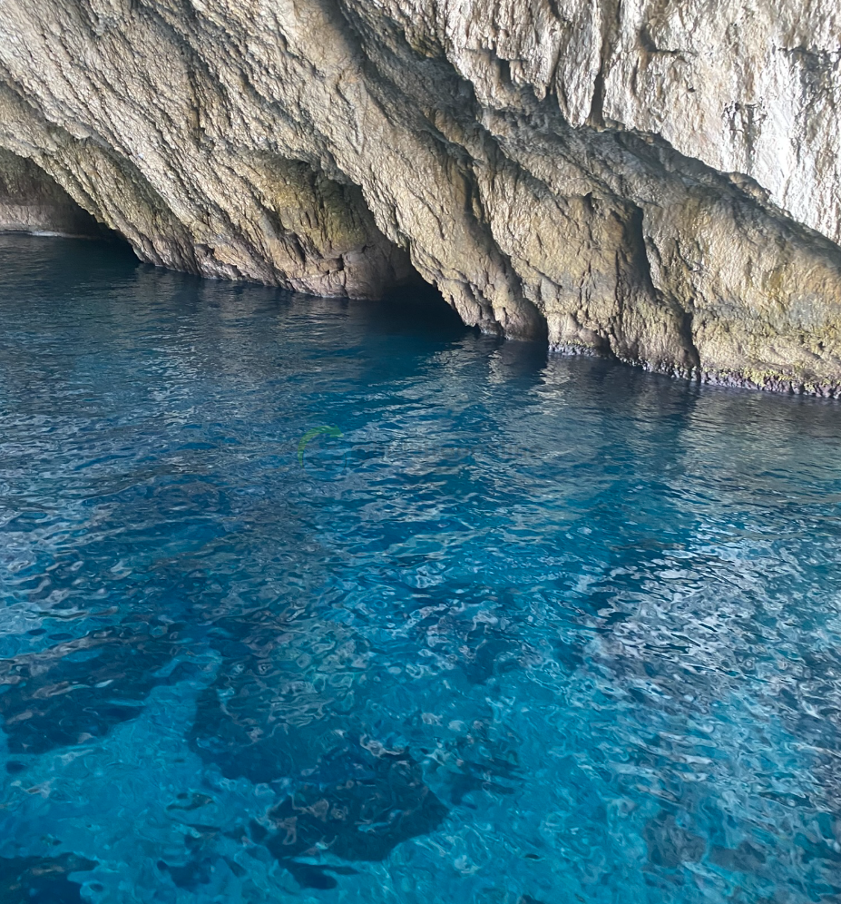 Paxos