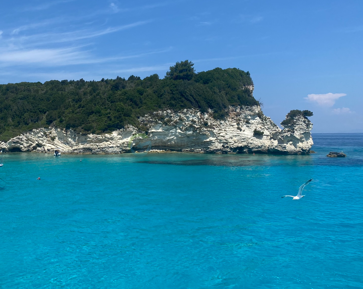 Antipaxos