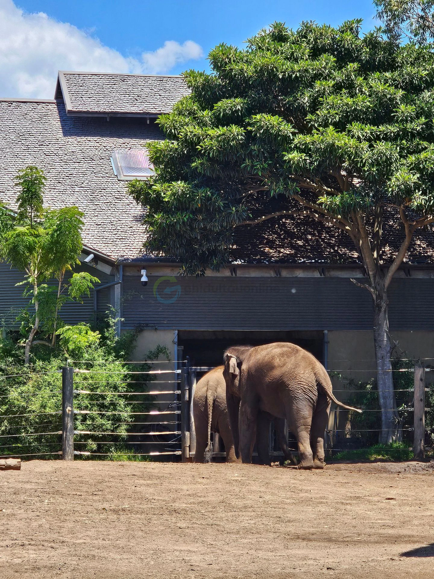 TARONGA
