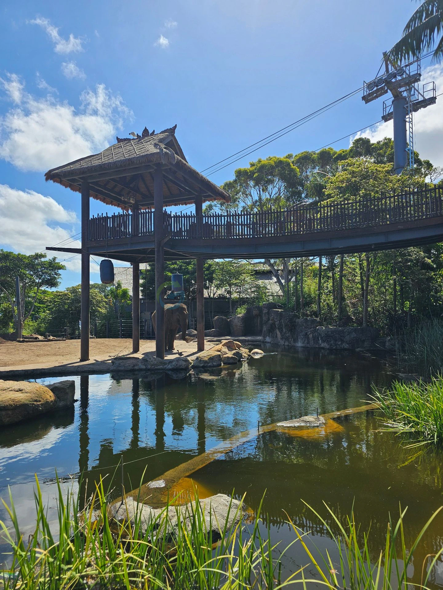 Taronga
