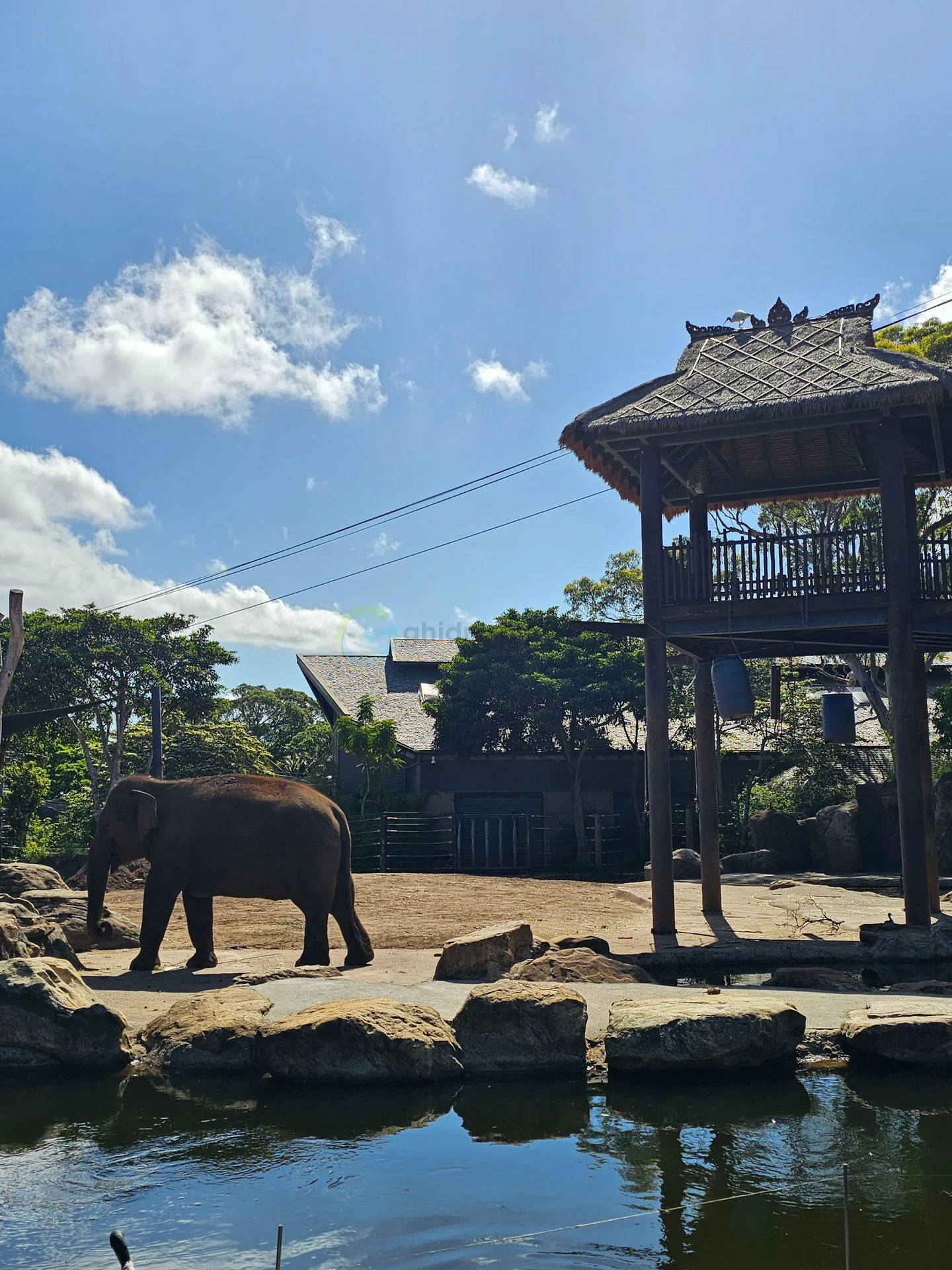 Taronga