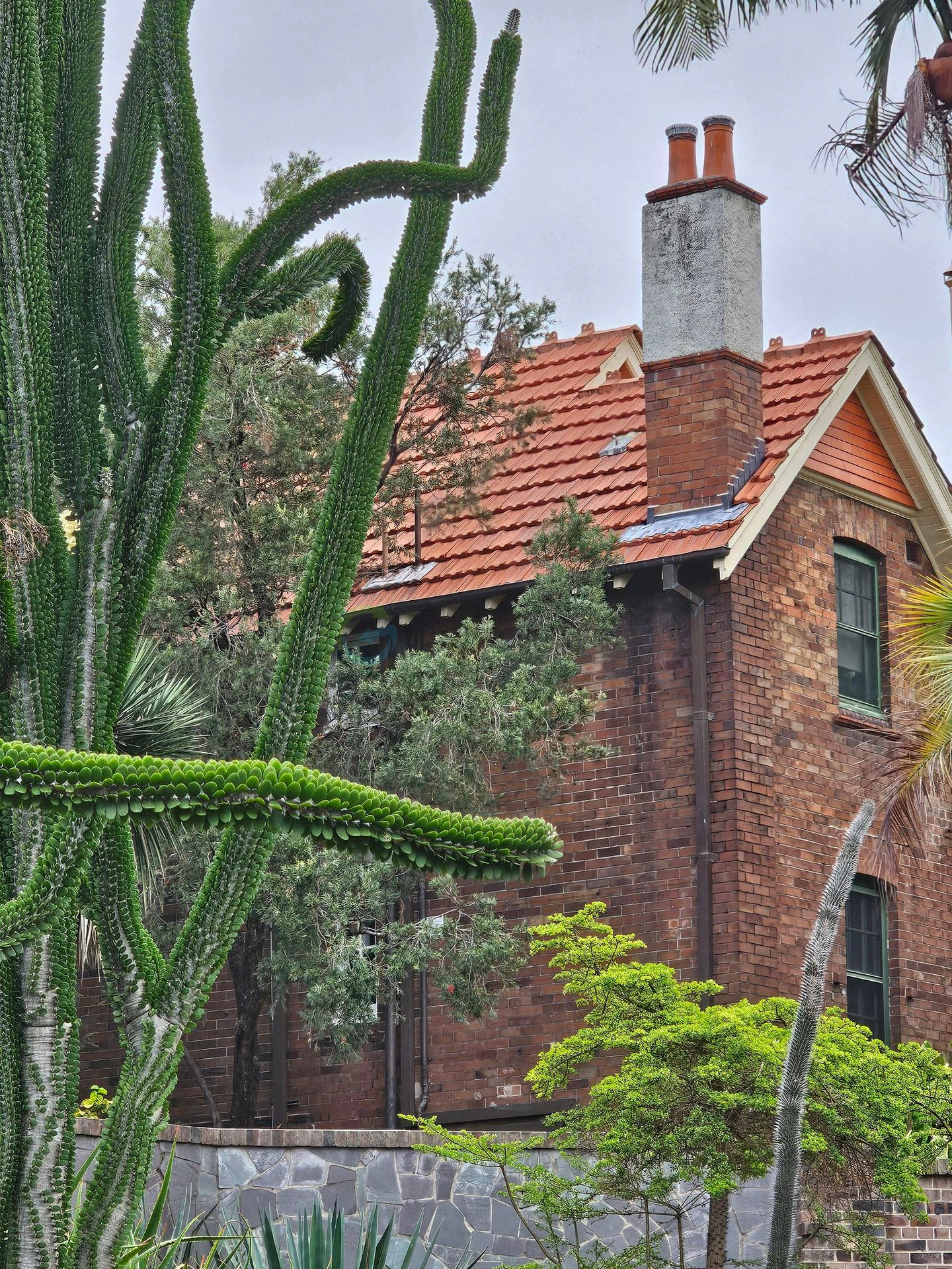 Gradina Botanica Sydney
