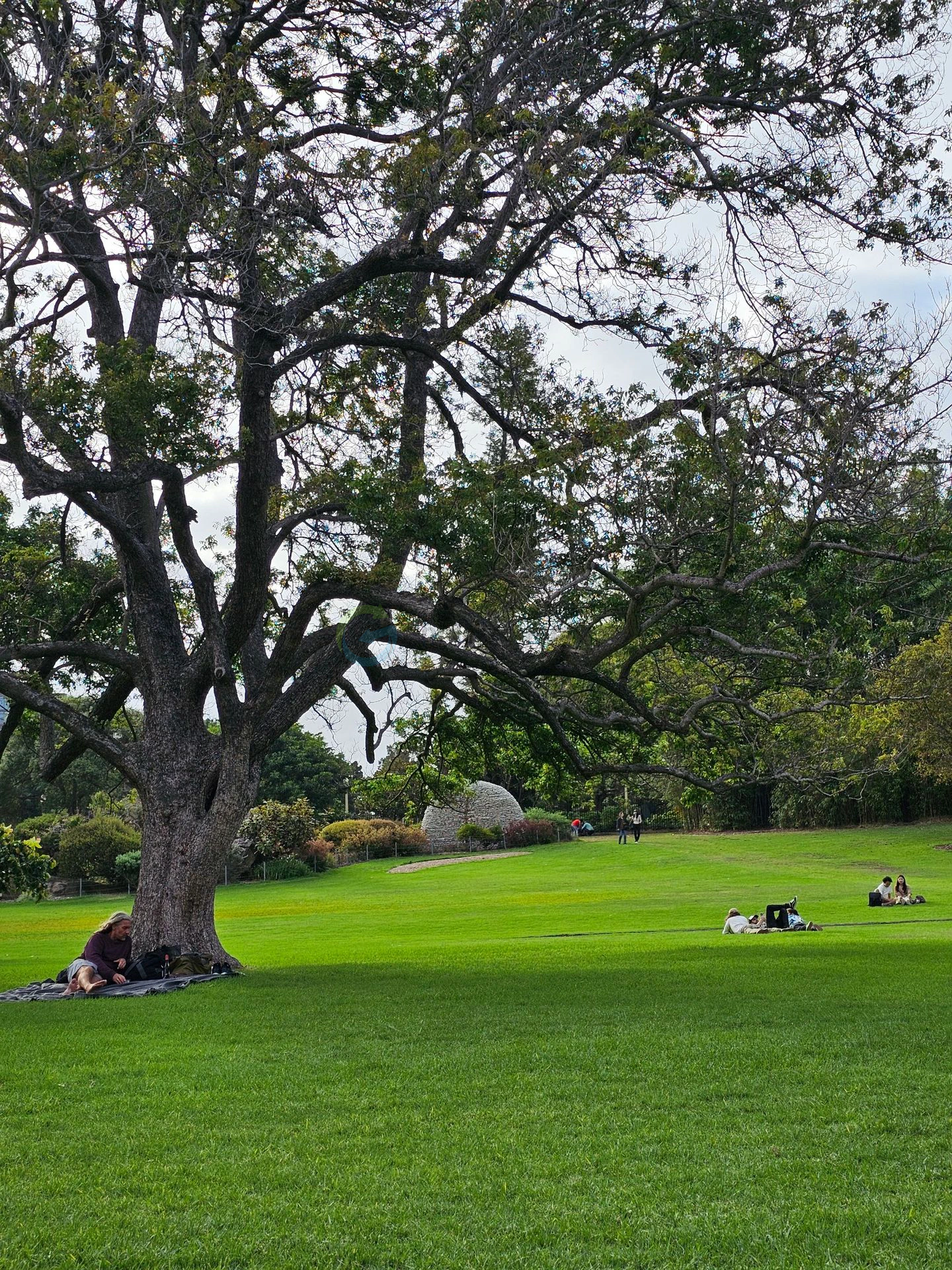 Gradina Botanica Sydney