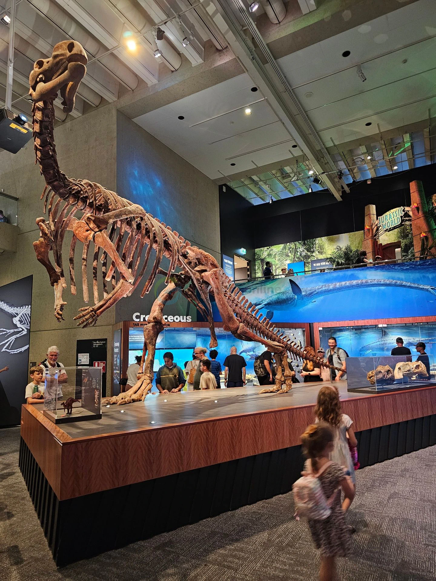 Queensland Museum Kurilpa.