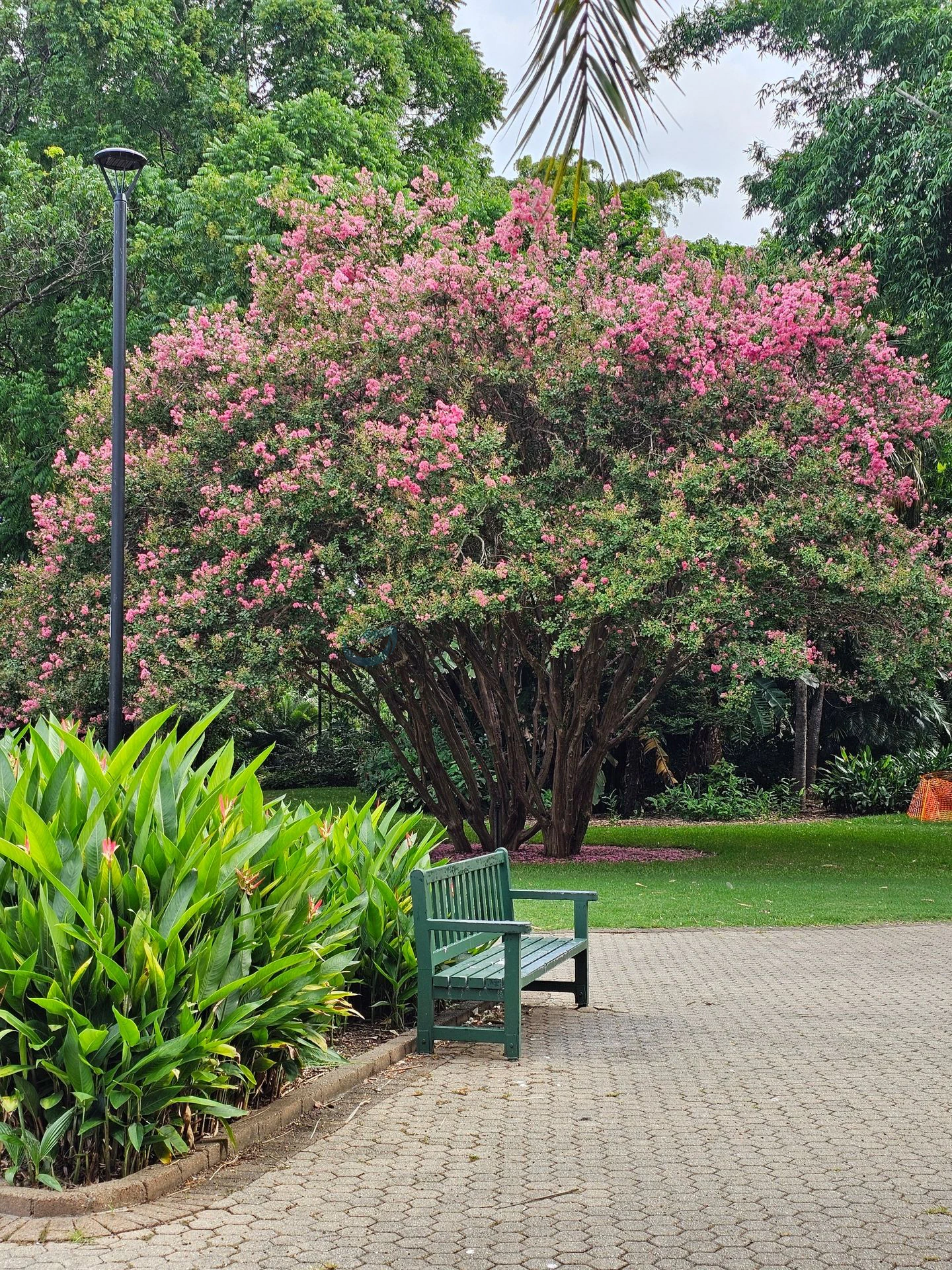 City Botanic Gardens,