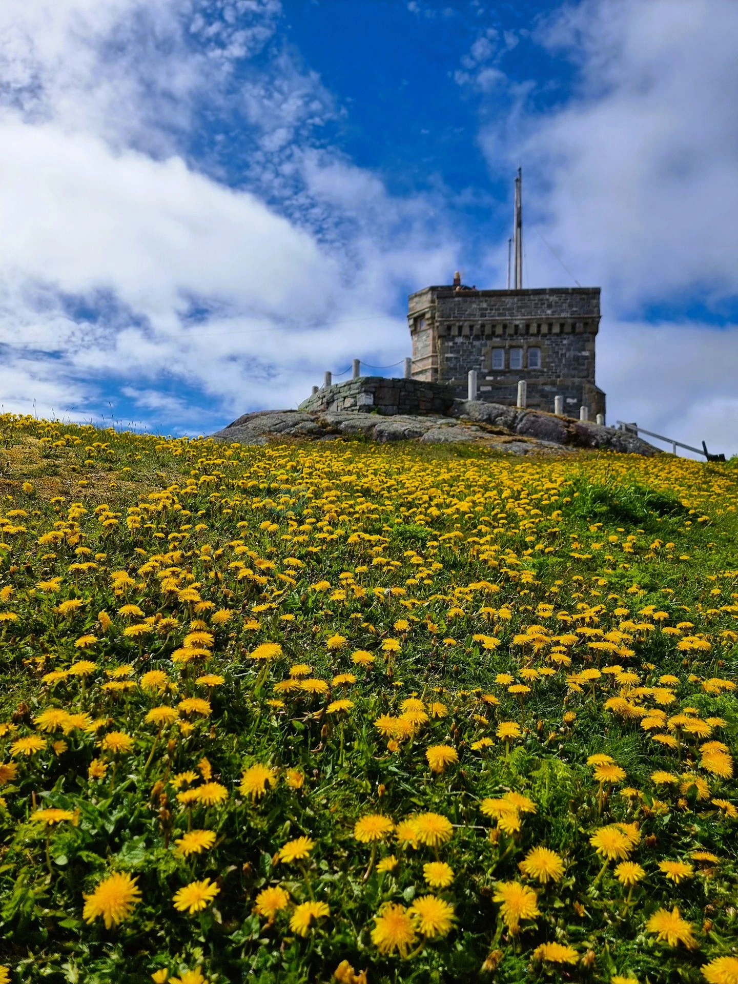signal hill