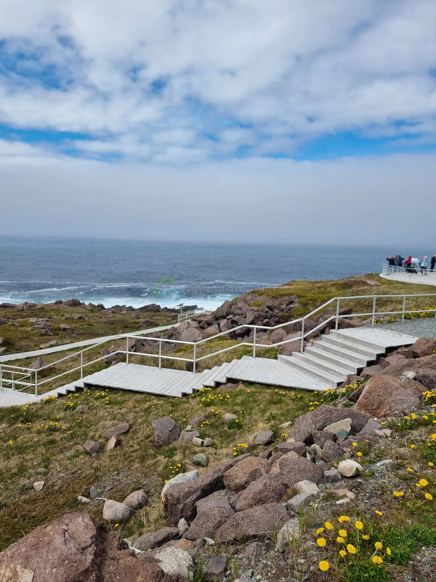 Cape Spear