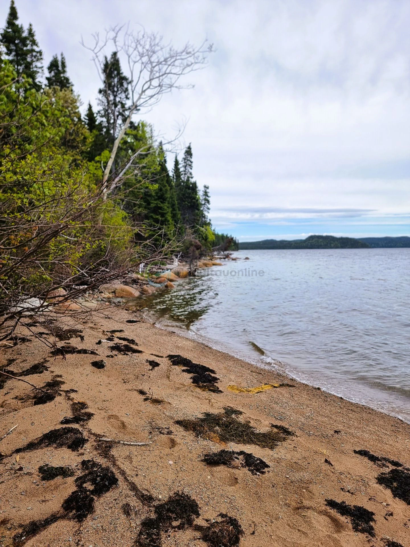 terra nova park