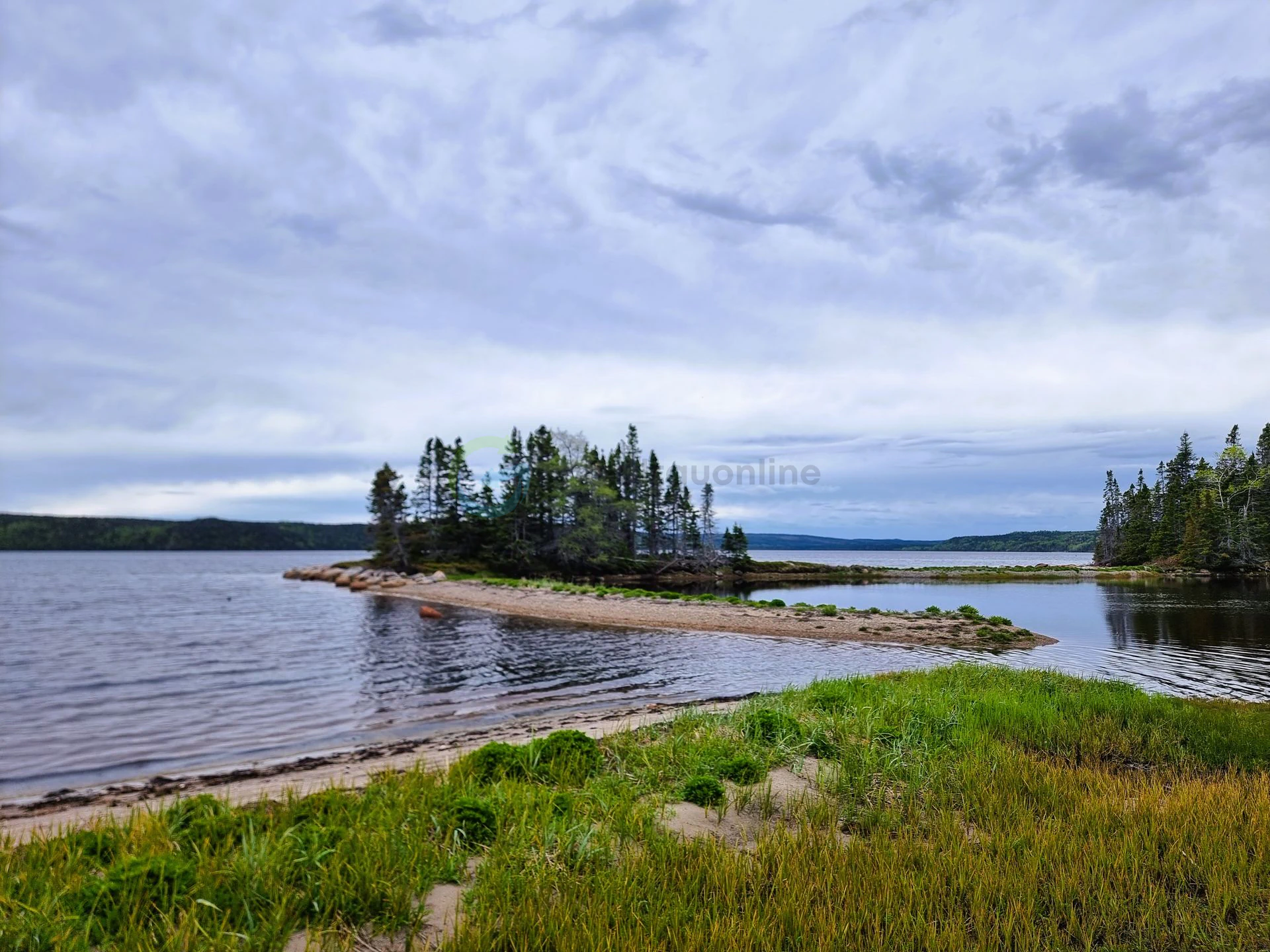 terra nova park