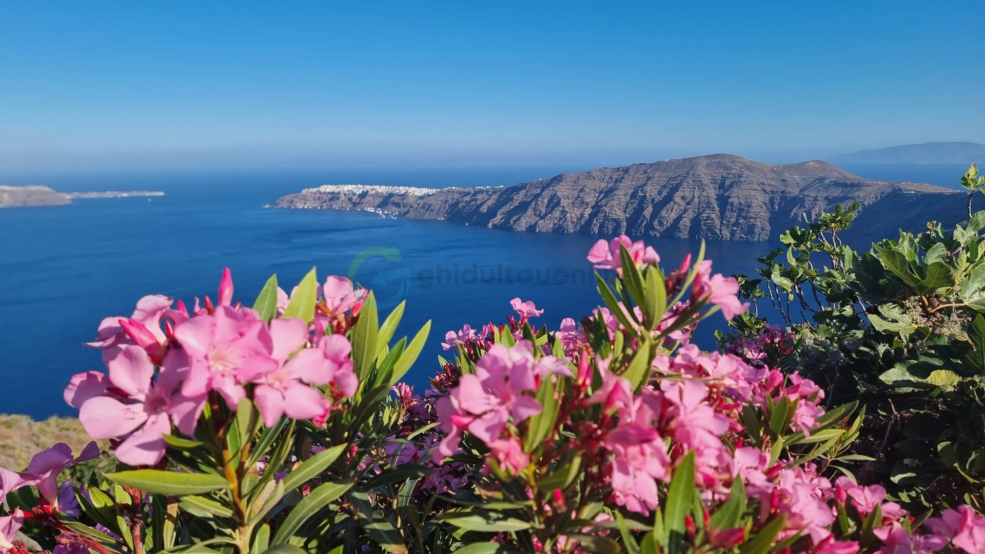 Oia1