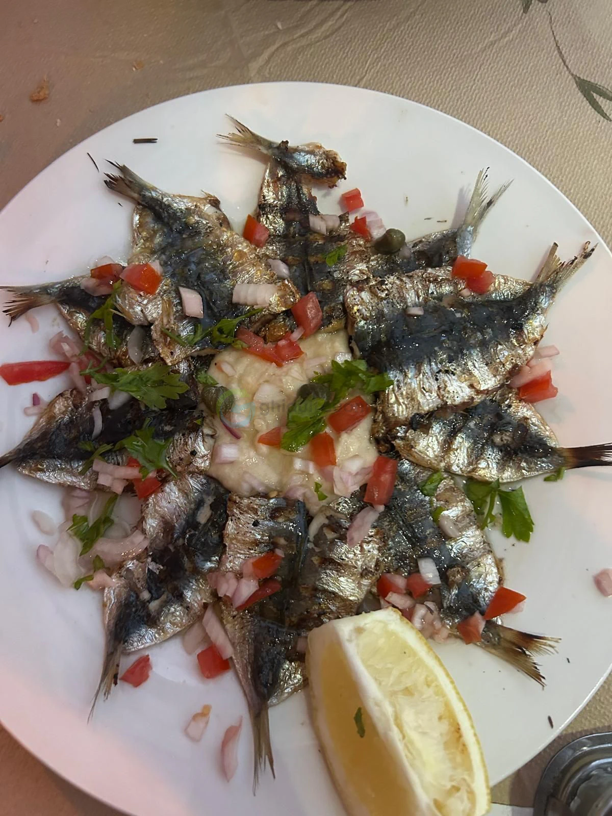 Sardine la Shelter of Taste