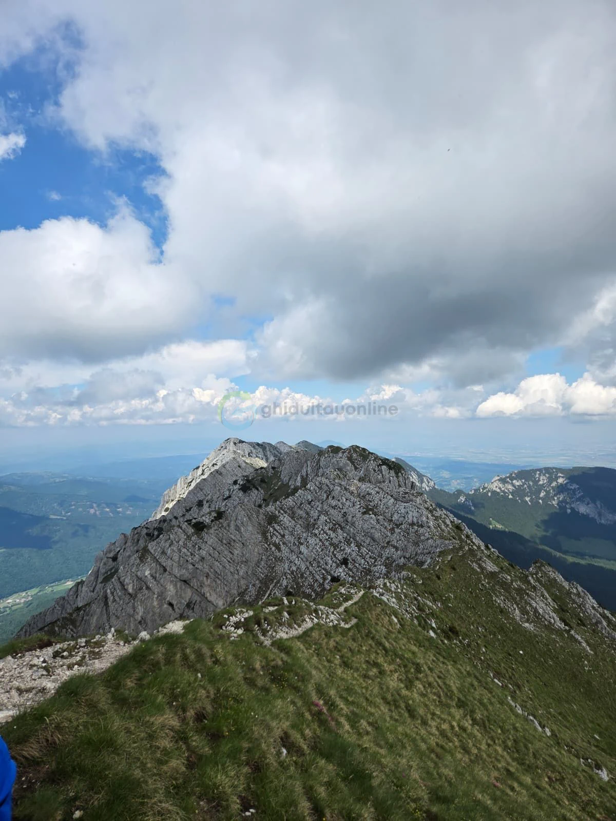 Vedere din vârf
