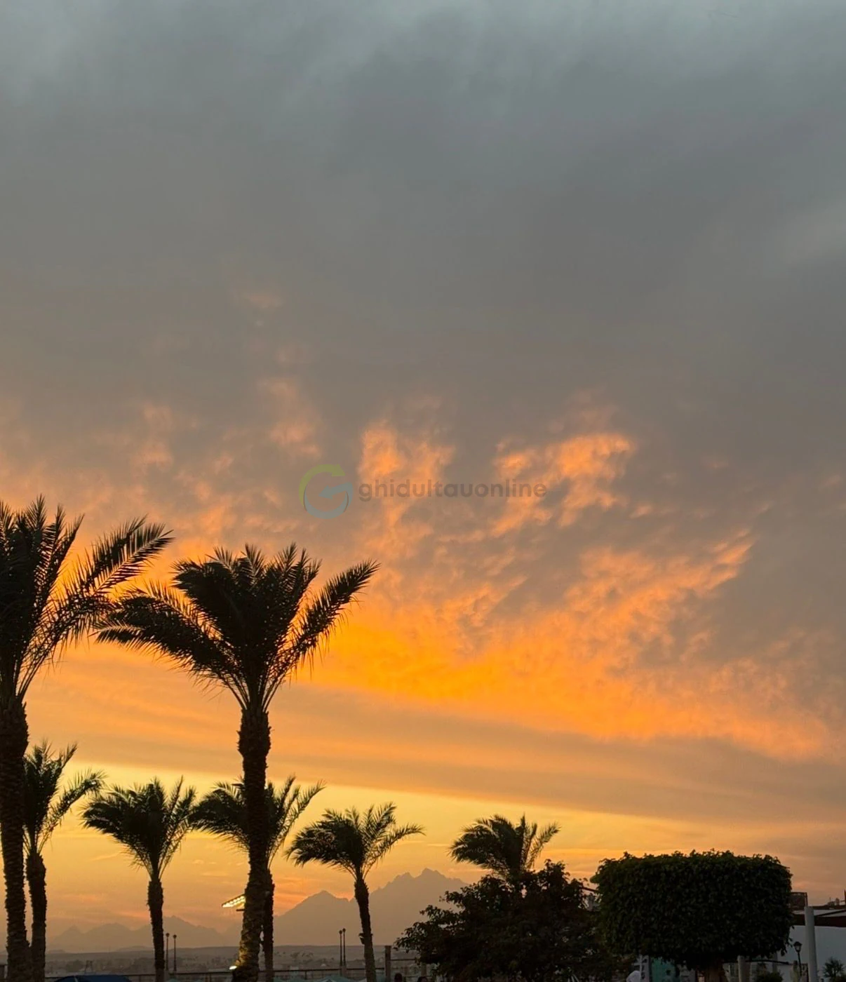Sunset