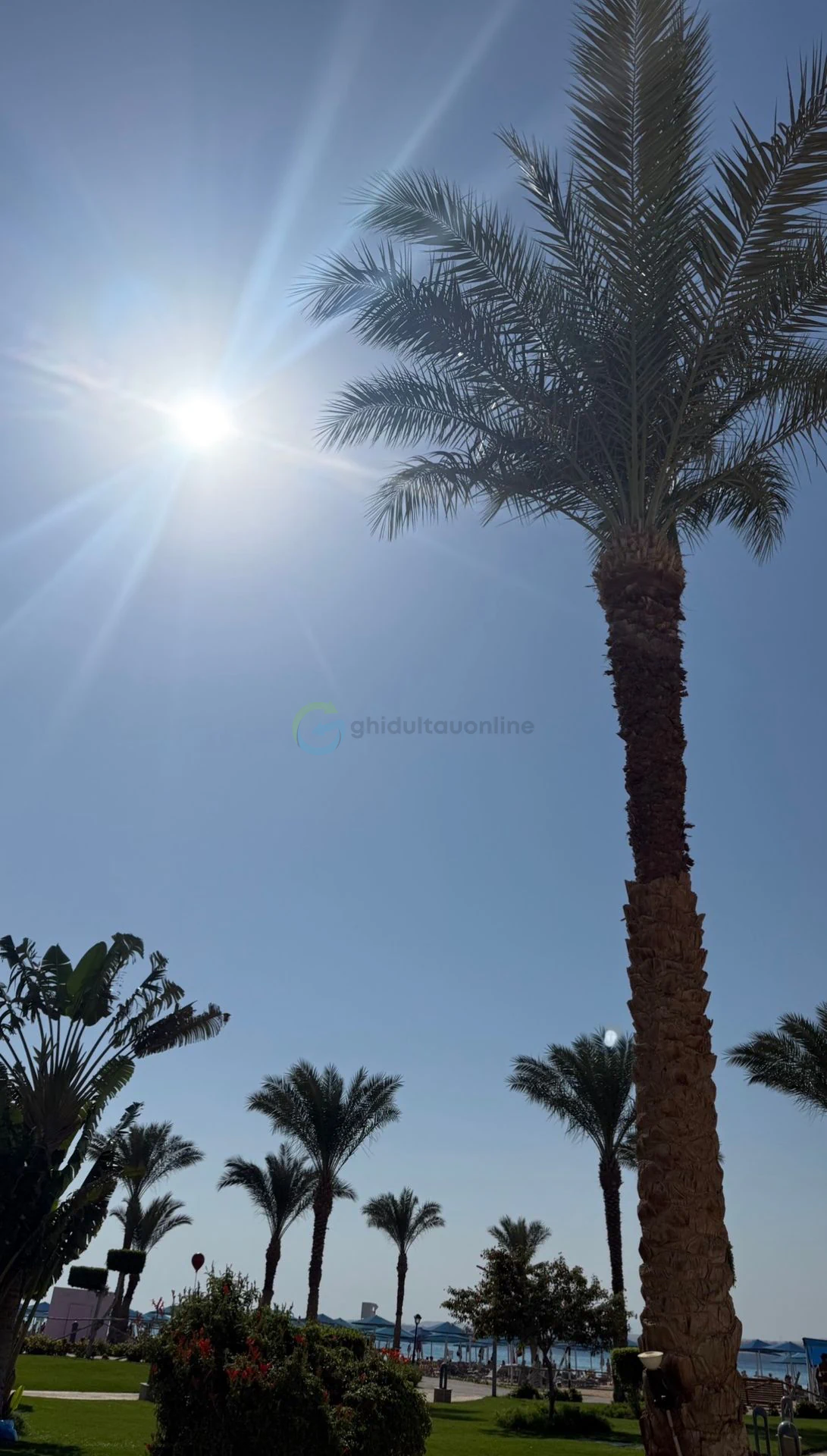 Pyramisa Beach Resort Sahl Hasheesh