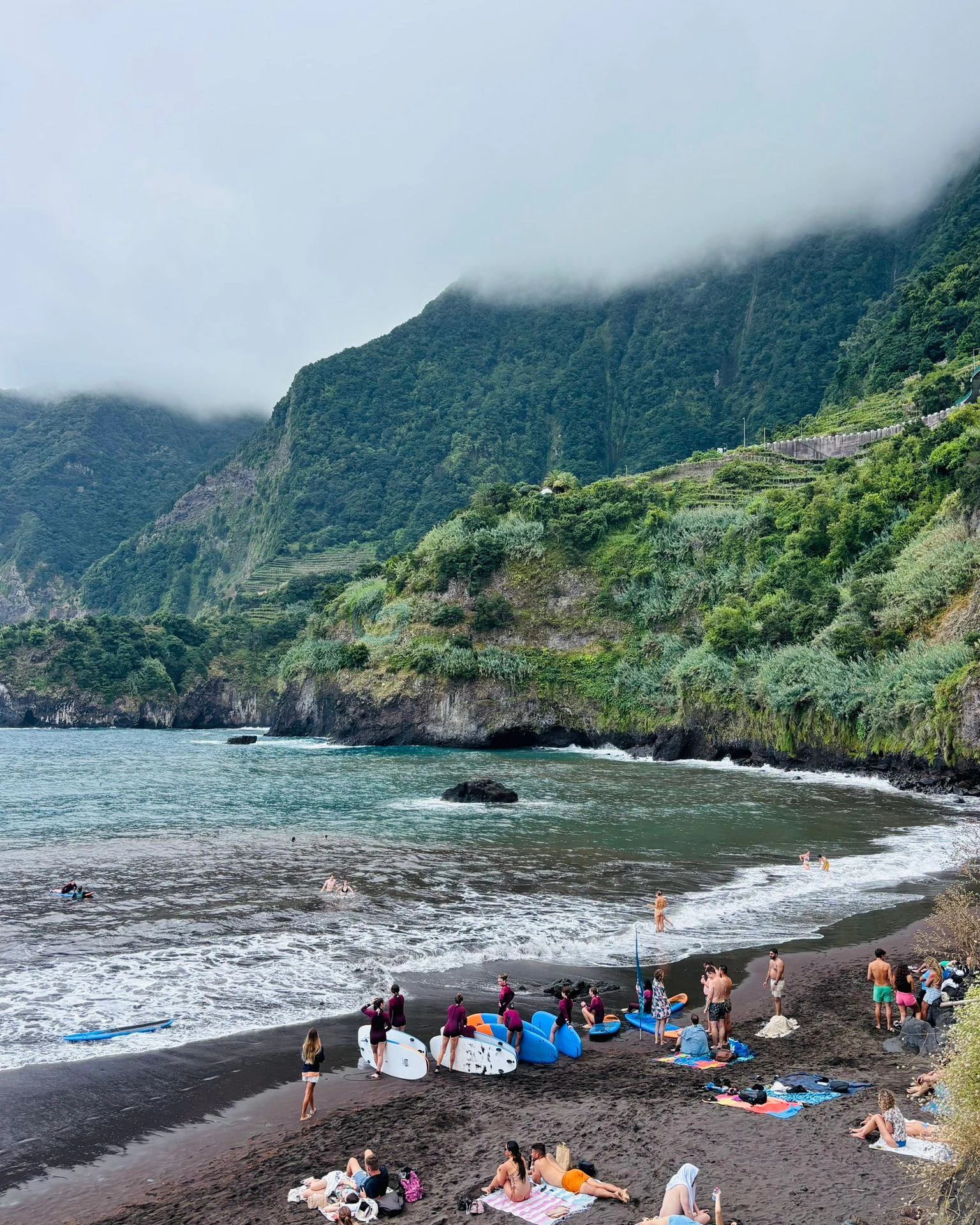 Madeira, insula exotică cu plaje, drumeții și levade