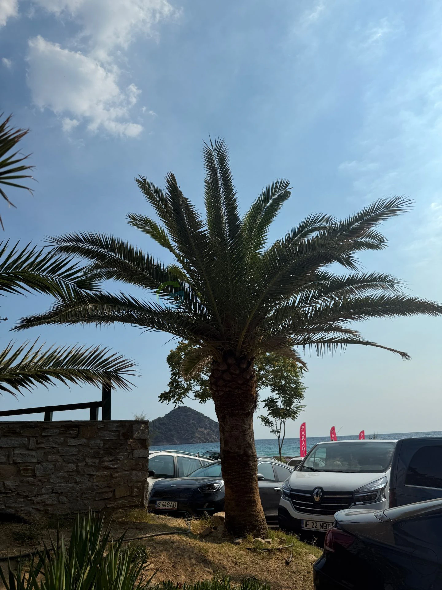 Paradise Beach