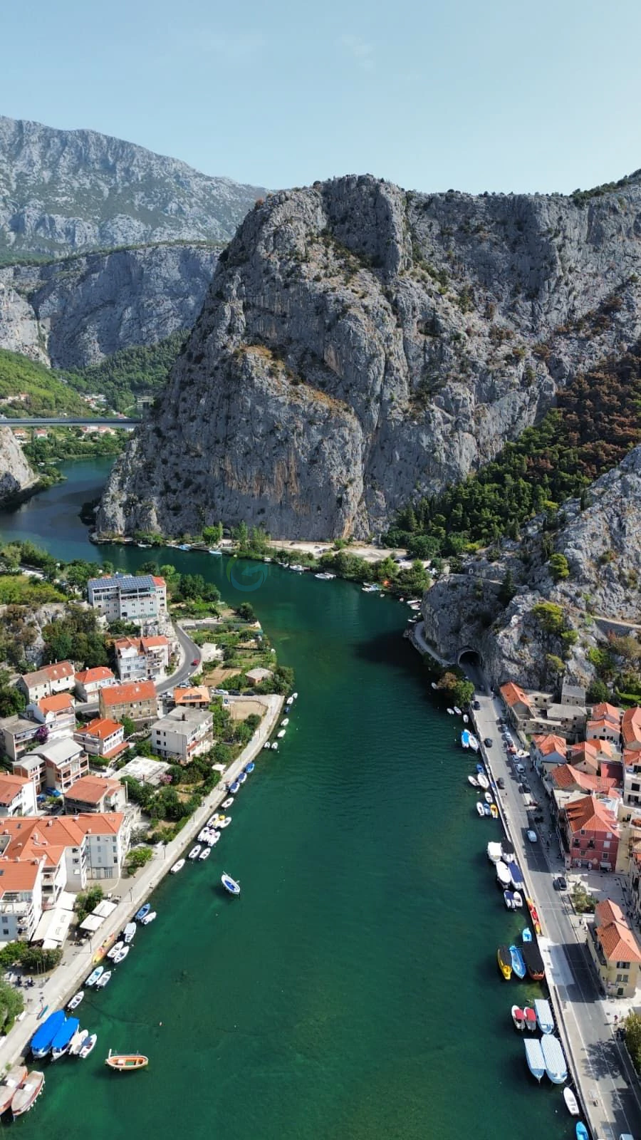 Omis
