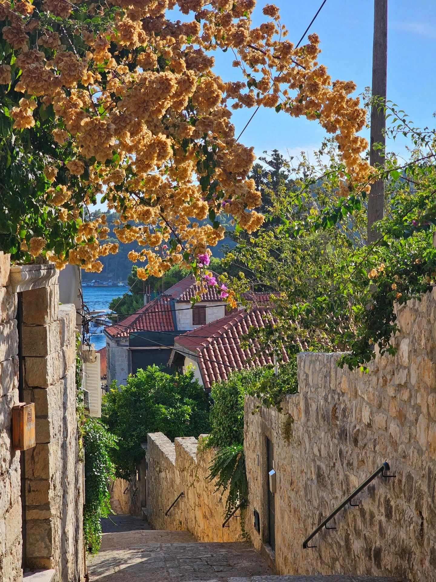 Cavtat