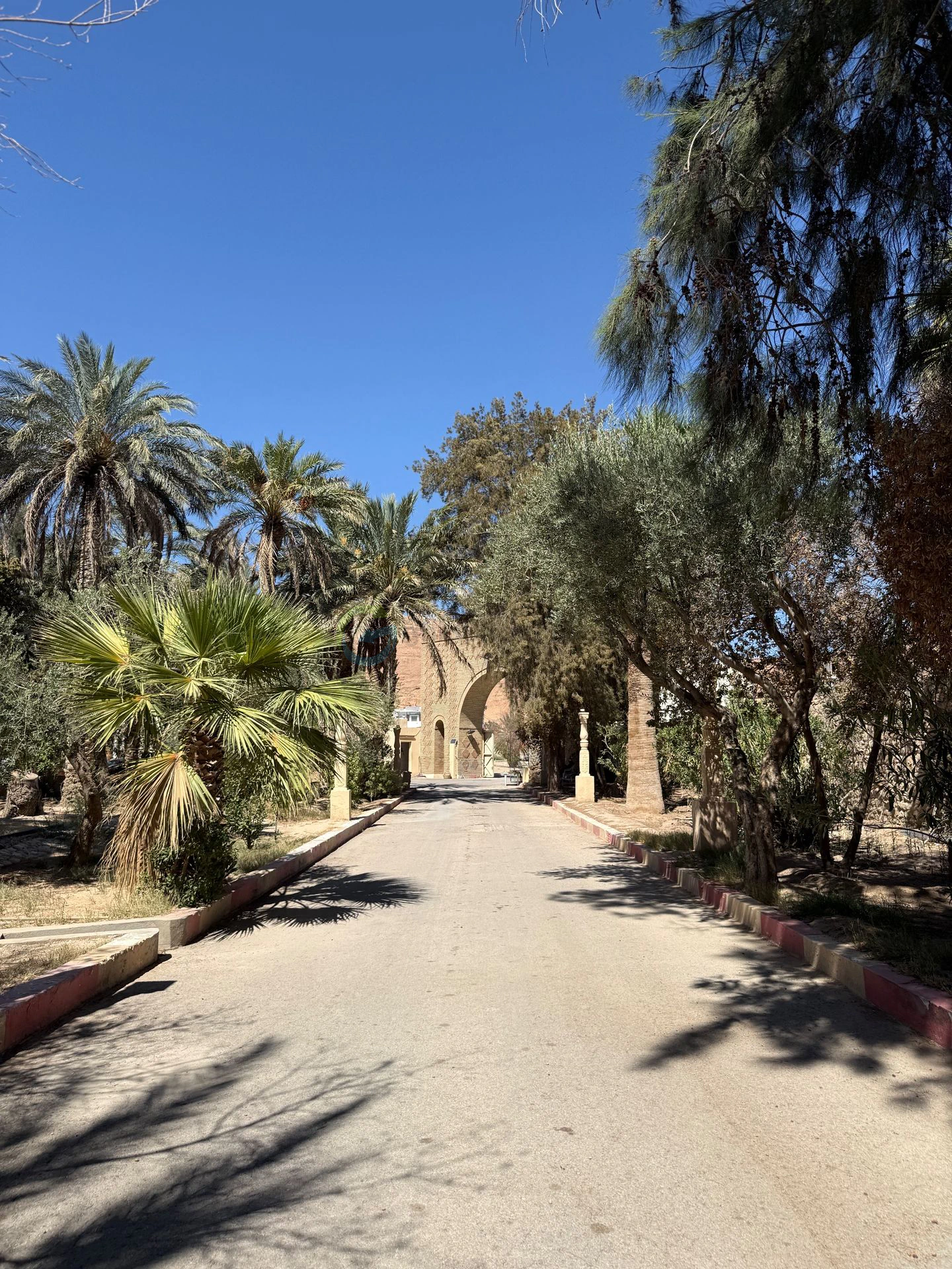 Gafsa