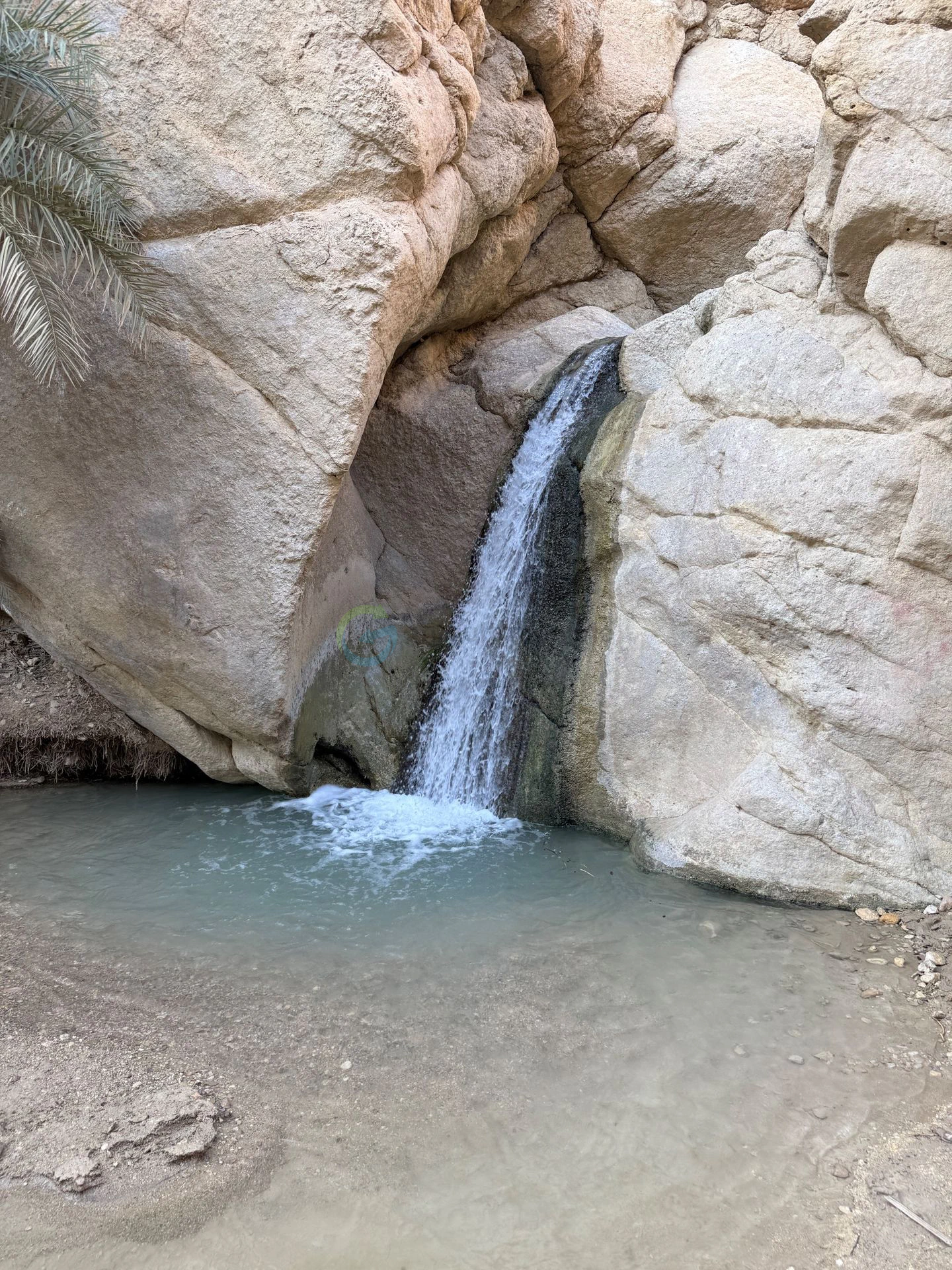 Chebika