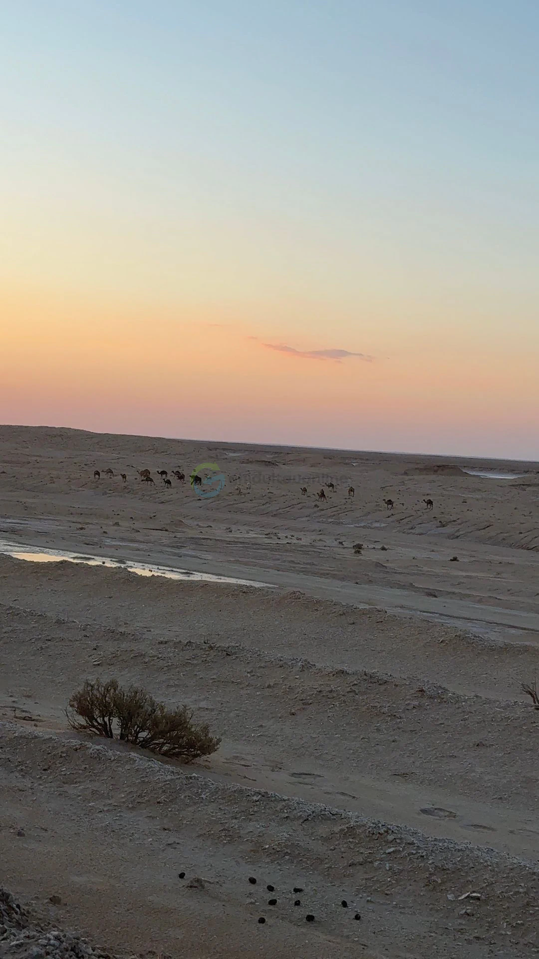 Desert