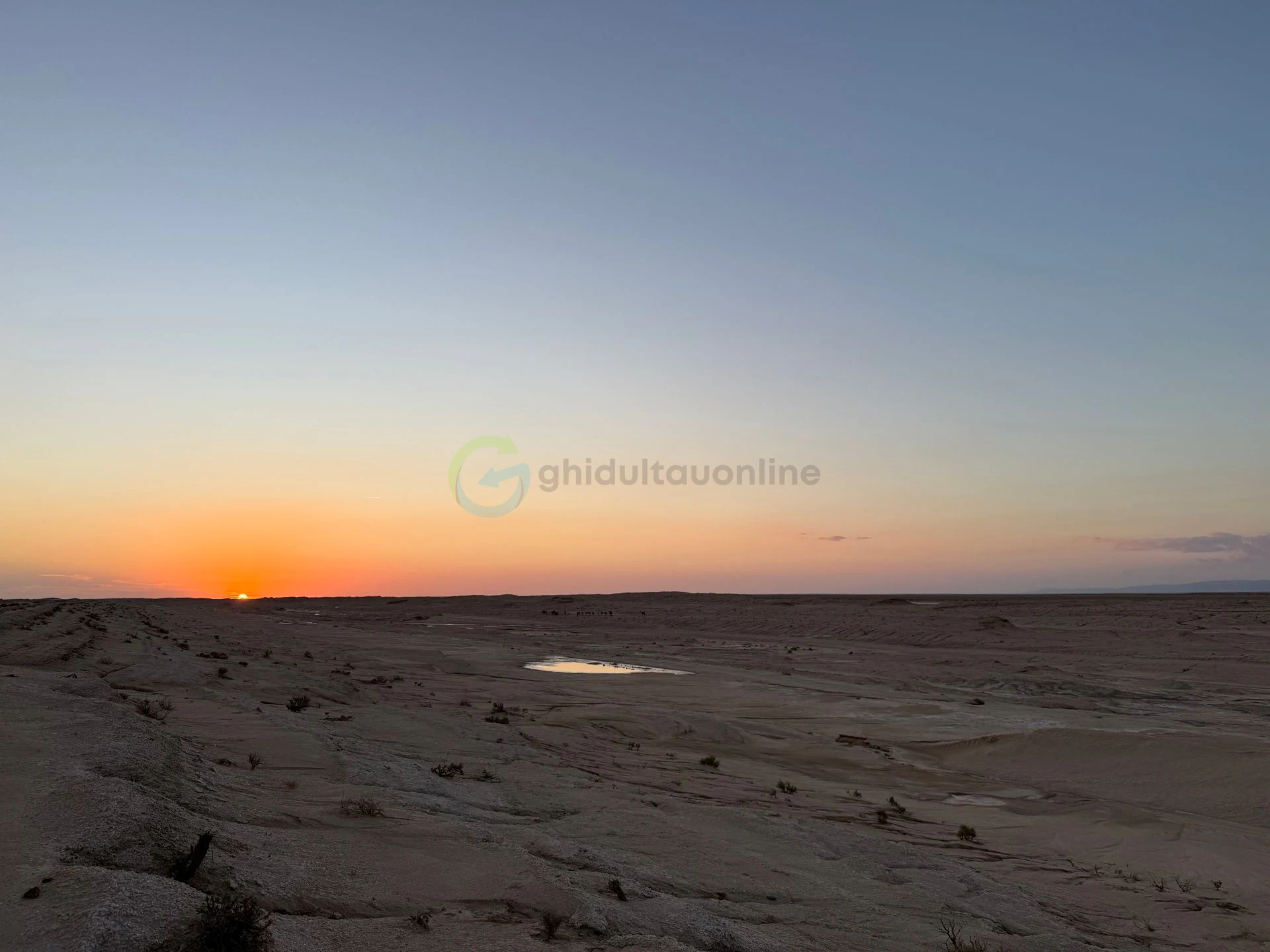 Desert