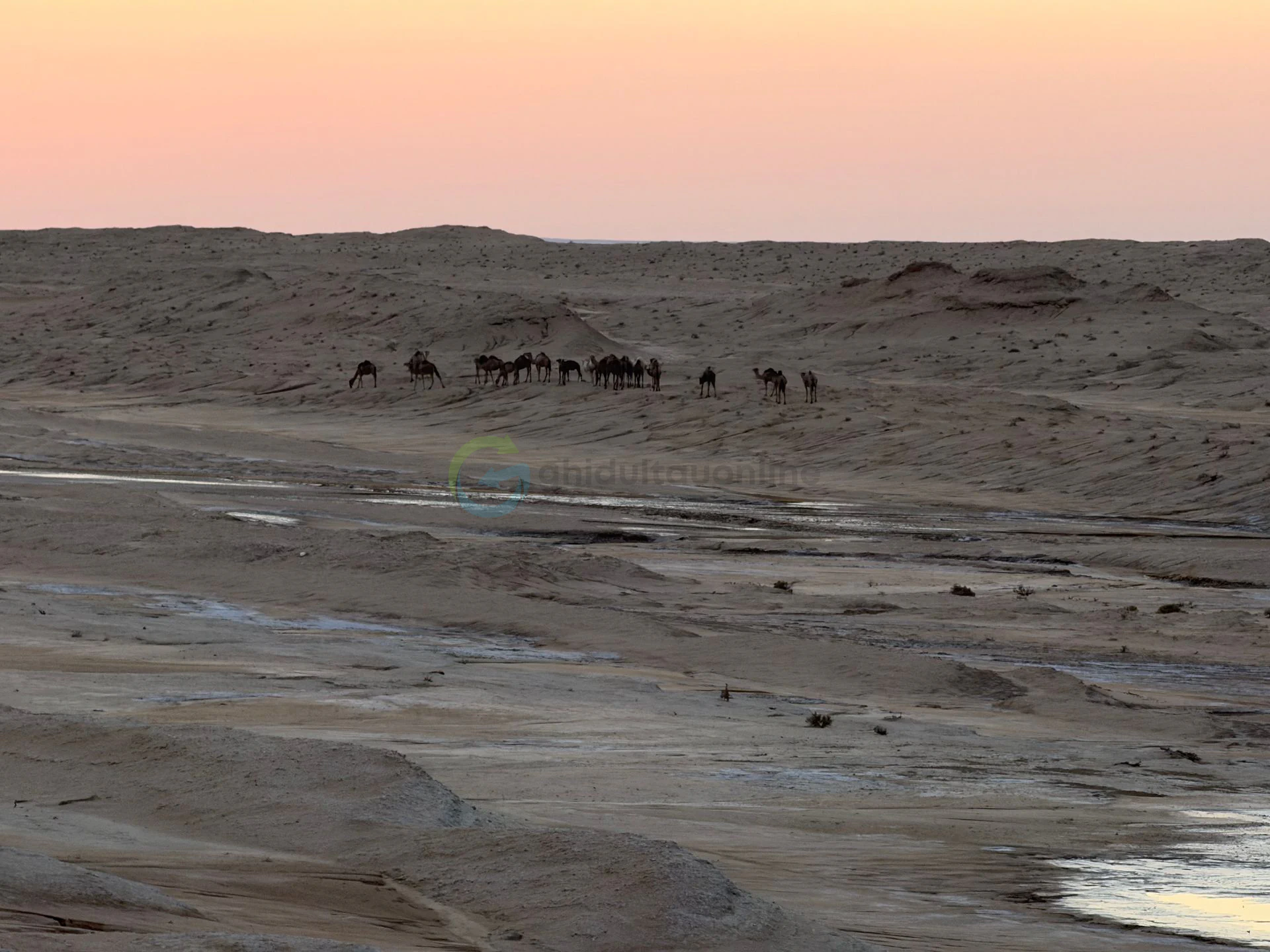 Desert