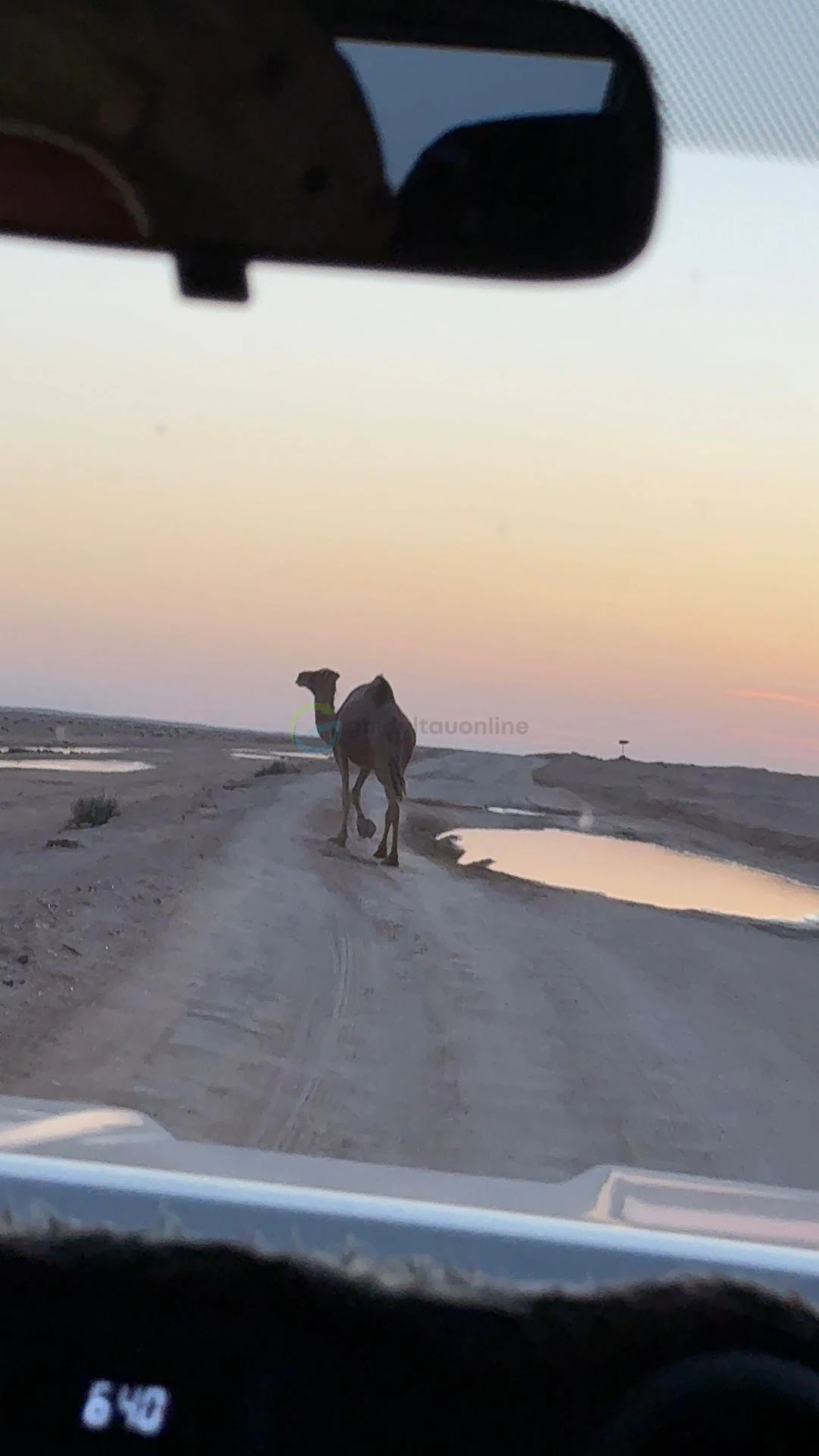 Desert