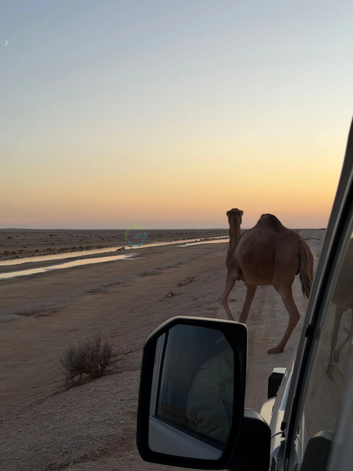 Desert