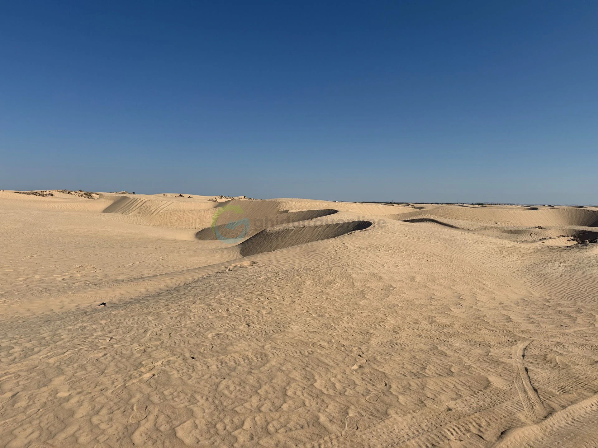 Desert