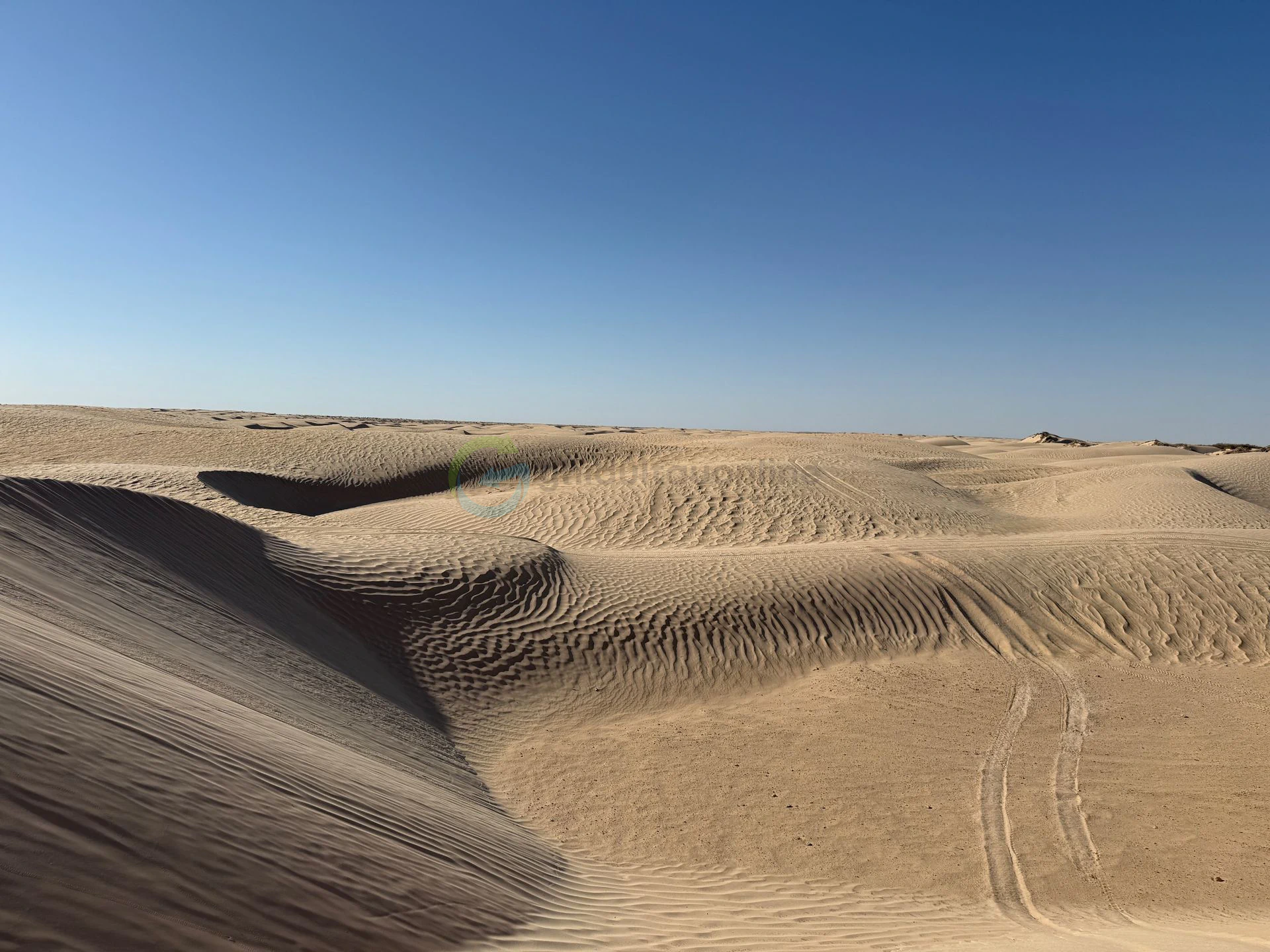 Desert