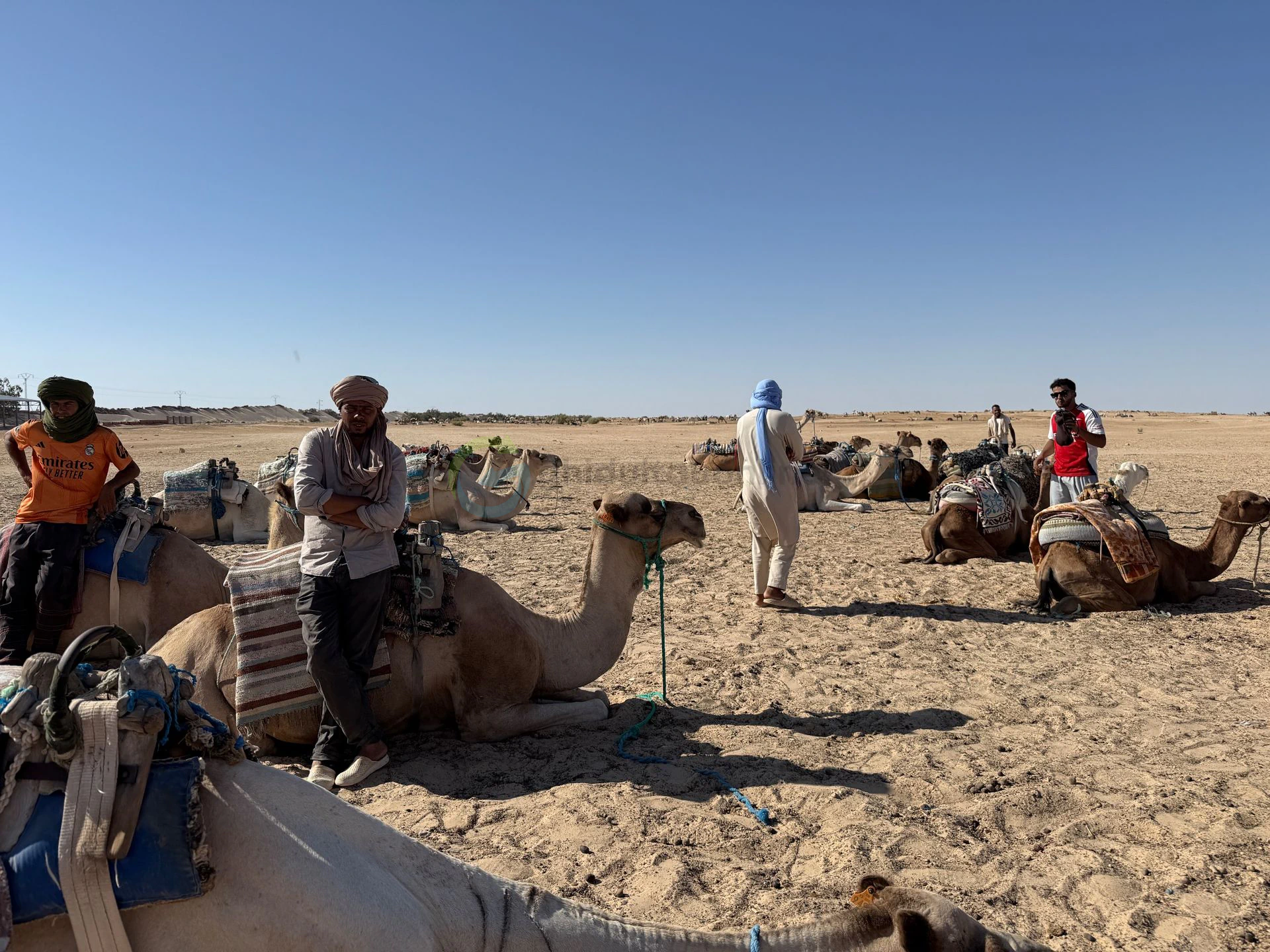 Desert