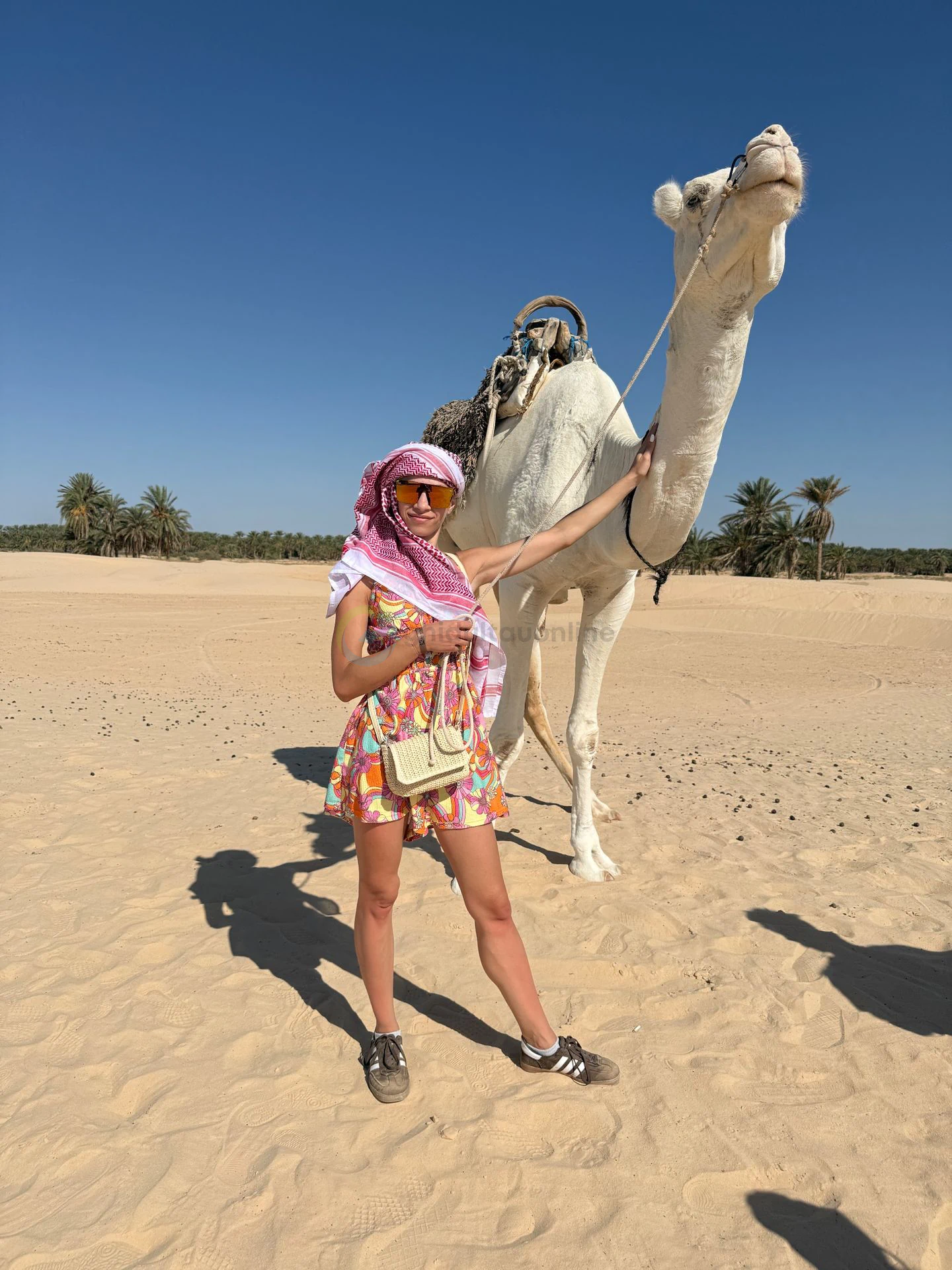 Desert