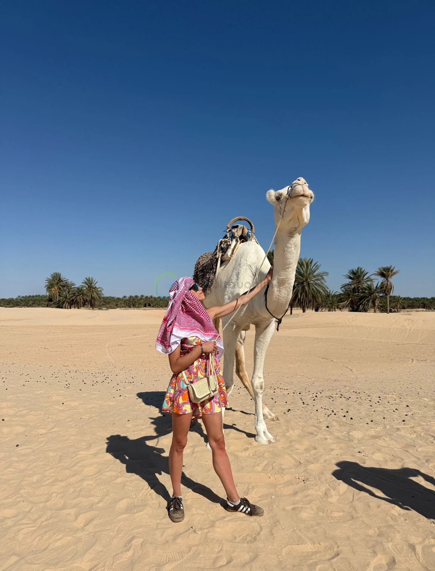 Desert